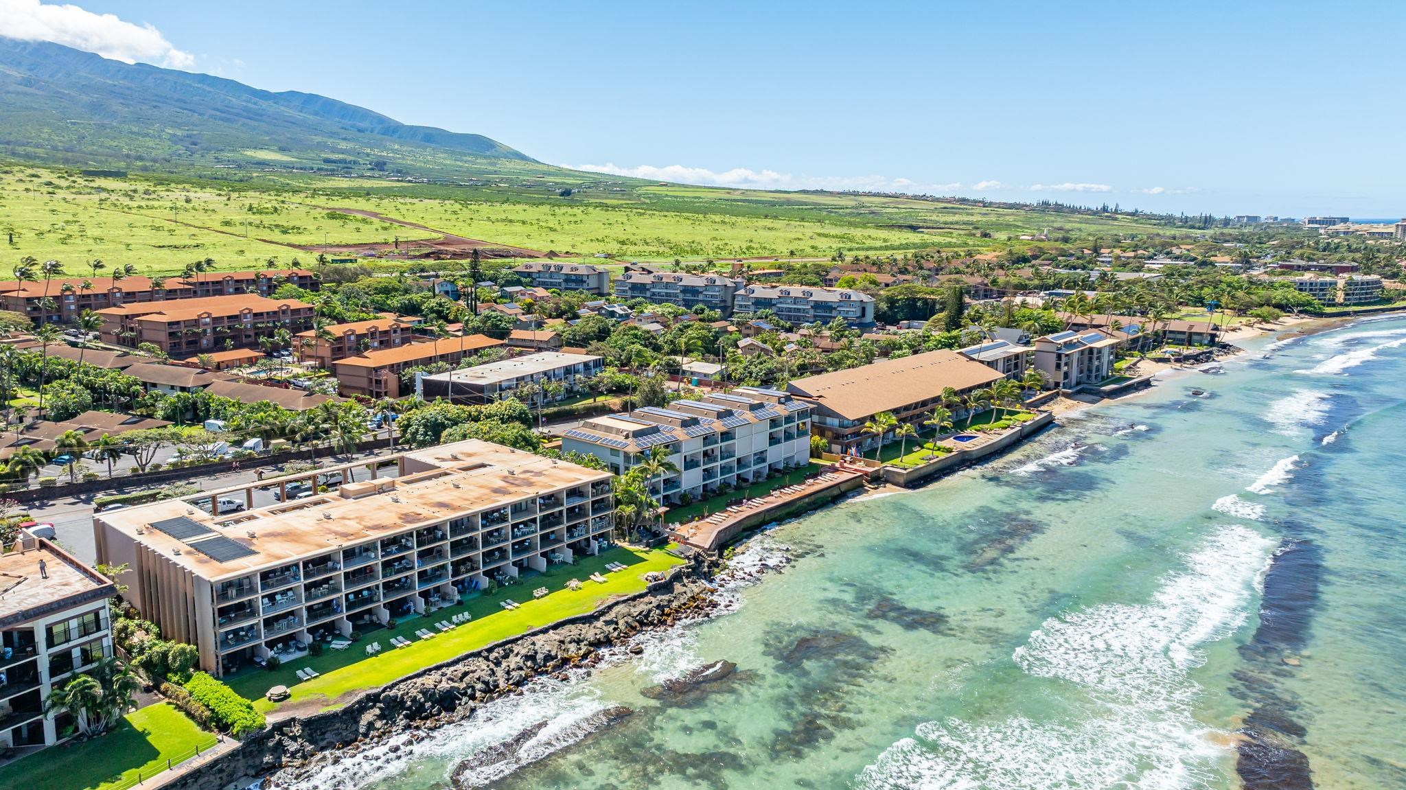 Kaleialoha condo # 103, Lahaina, Hawaii - photo 4 of 39