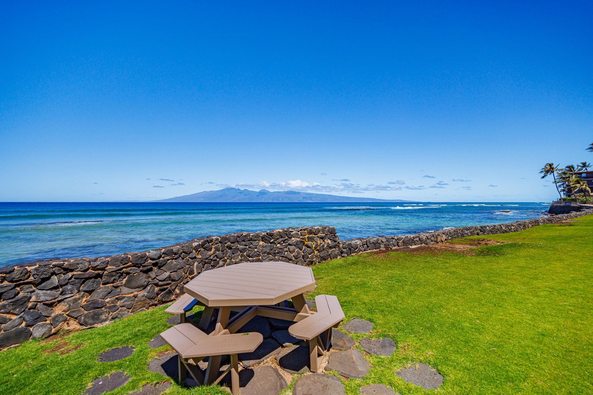 Kaleialoha condo # 103, Lahaina, Hawaii - photo 7 of 39