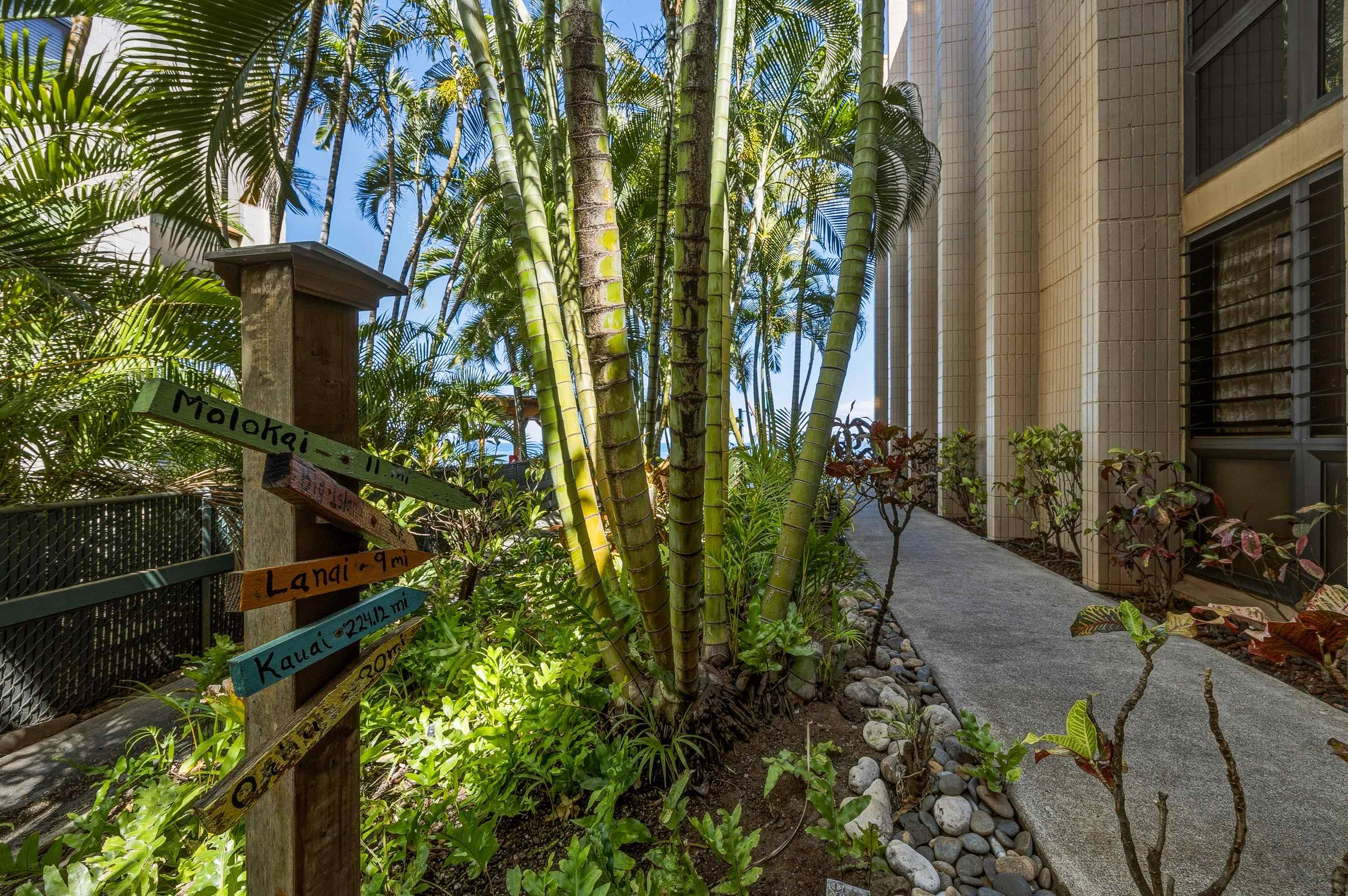 Kaleialoha condo # 104, Lahaina, Hawaii - photo 4 of 50