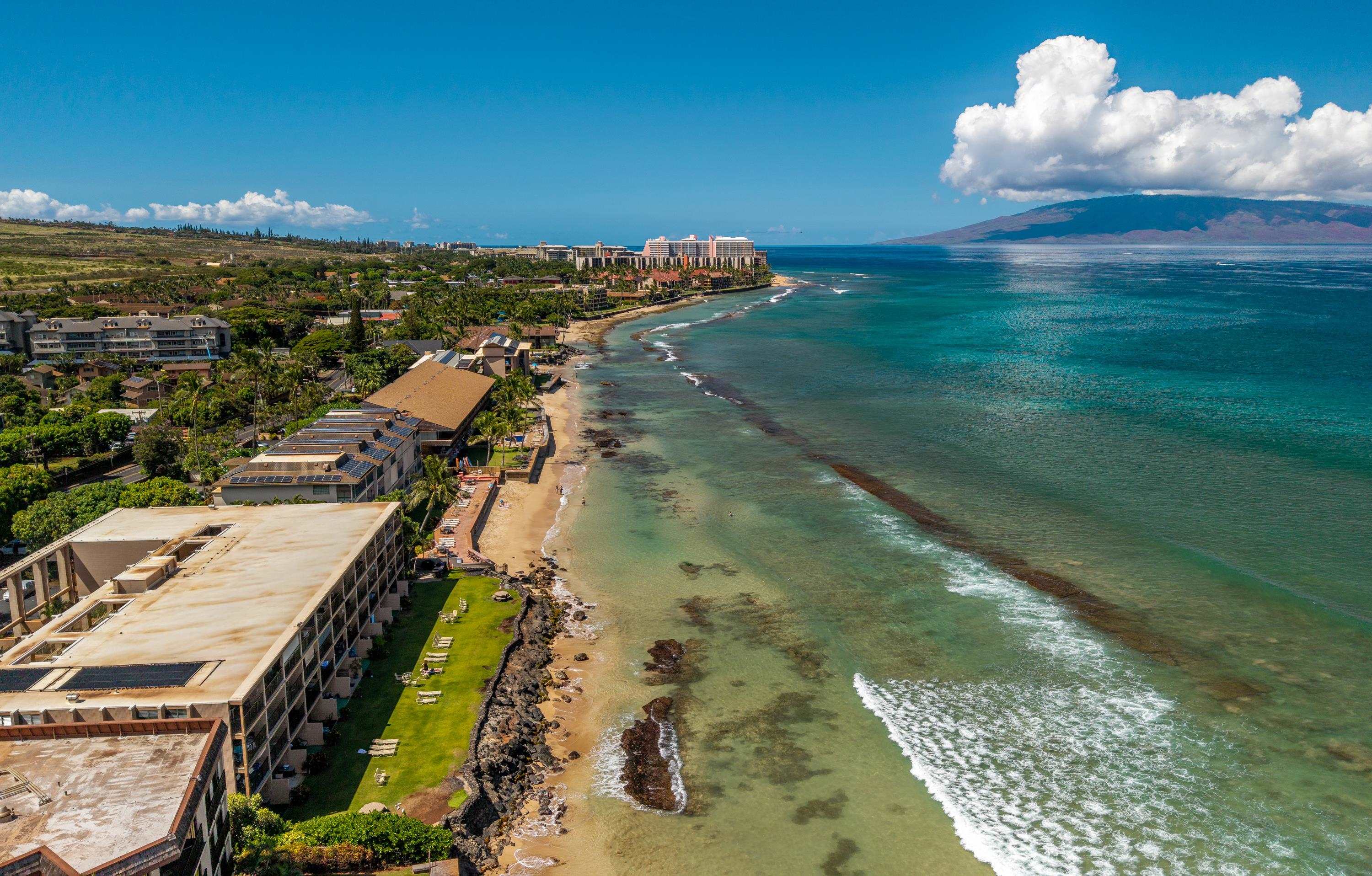 Kaleialoha condo # 104, Lahaina, Hawaii - photo 49 of 50
