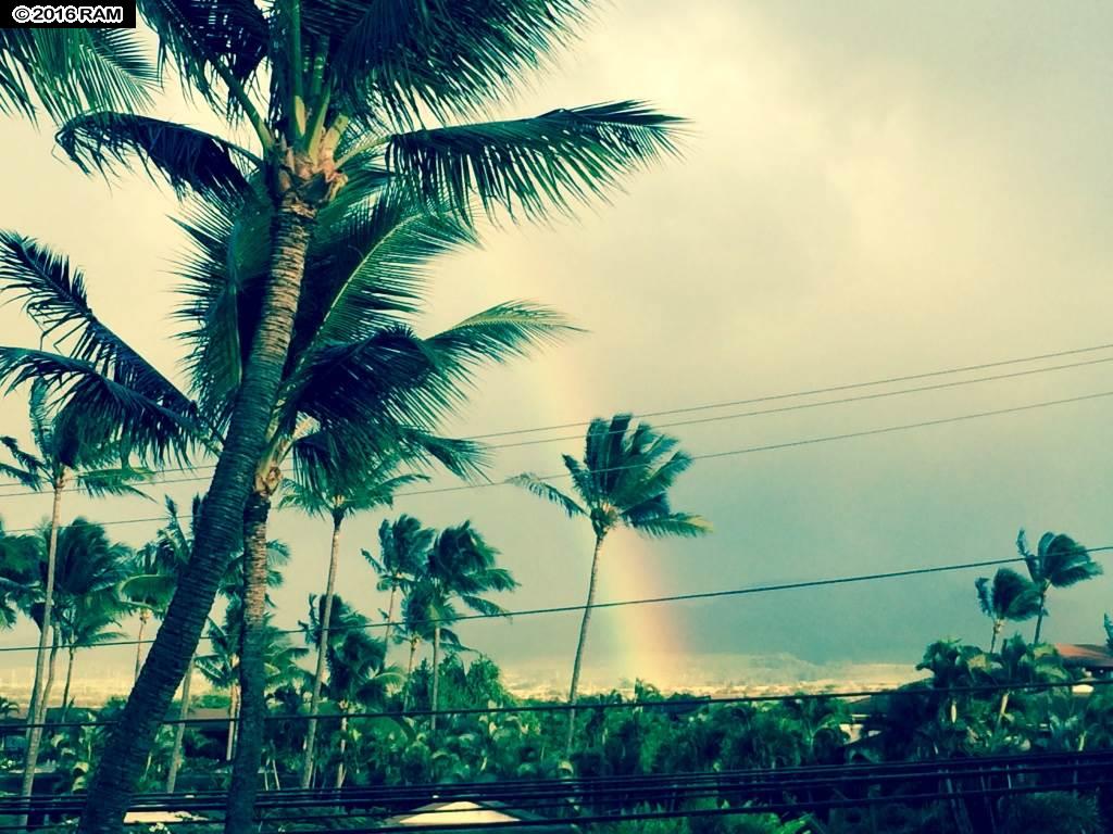 Kaleialoha condo # 202, Lahaina, Hawaii - photo 23 of 25