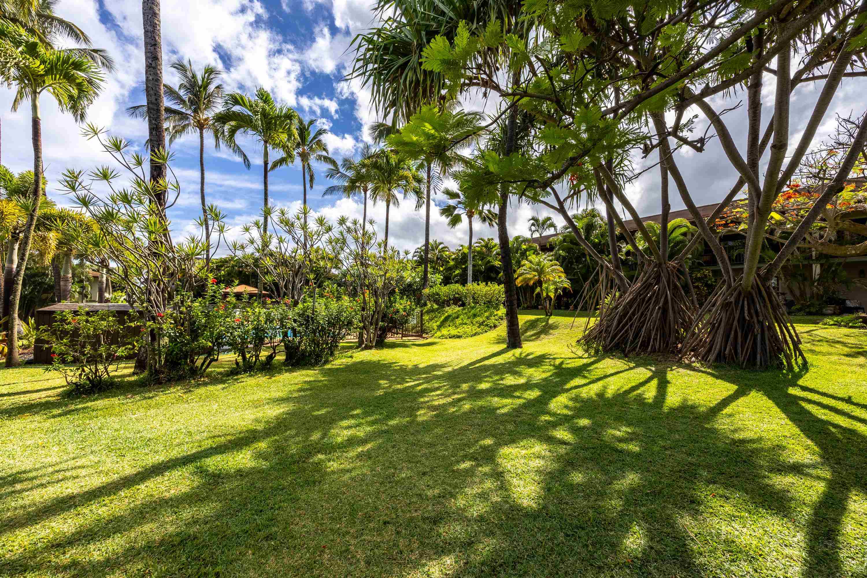 Hale Royale condo # B101, Lahaina, Hawaii - photo 34 of 50