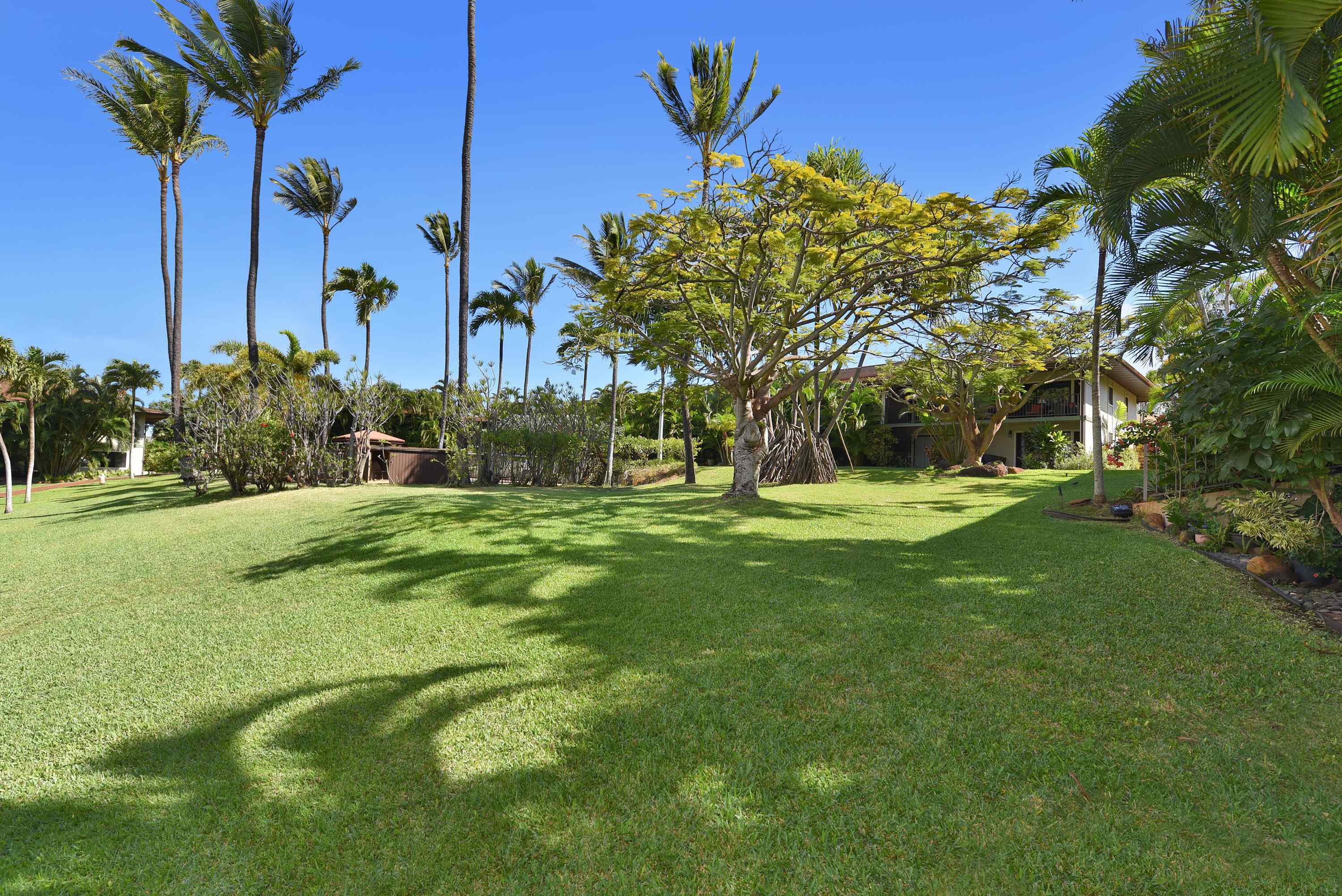 Hale Royale condo # A-115, Lahaina, Hawaii - photo 32 of 50