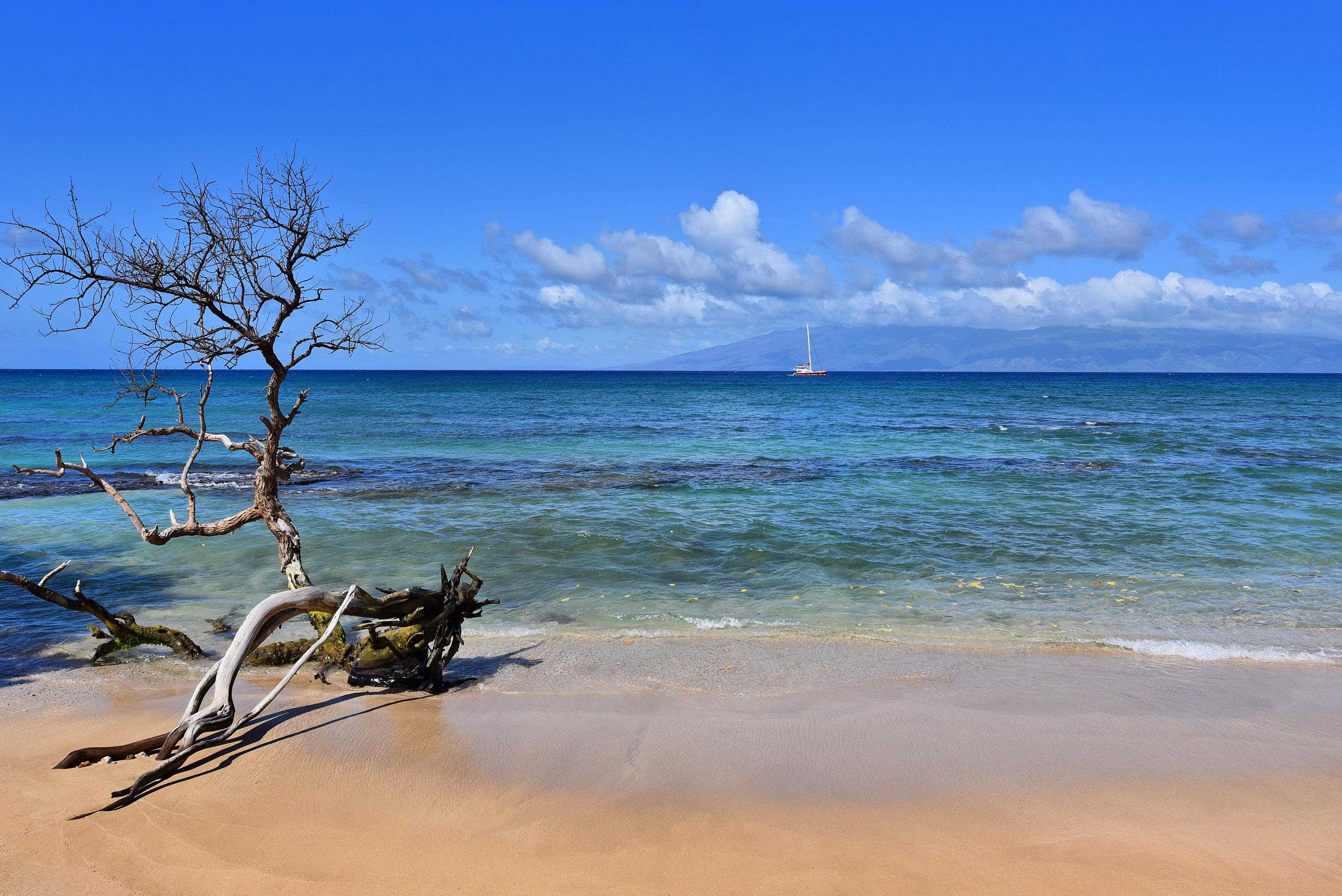 Hale Royale condo # A-115, Lahaina, Hawaii - photo 37 of 50