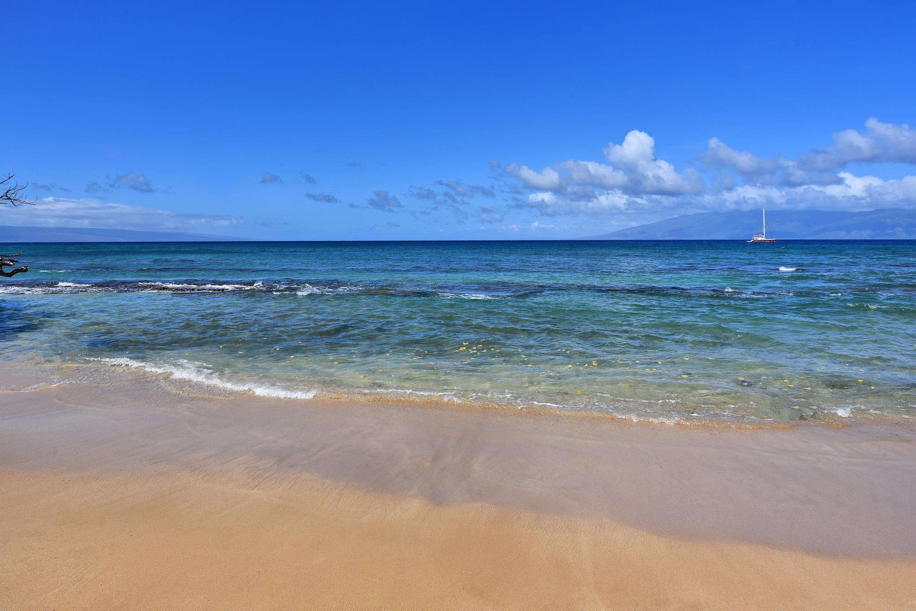 Hale Royale condo # A-115, Lahaina, Hawaii - photo 38 of 50