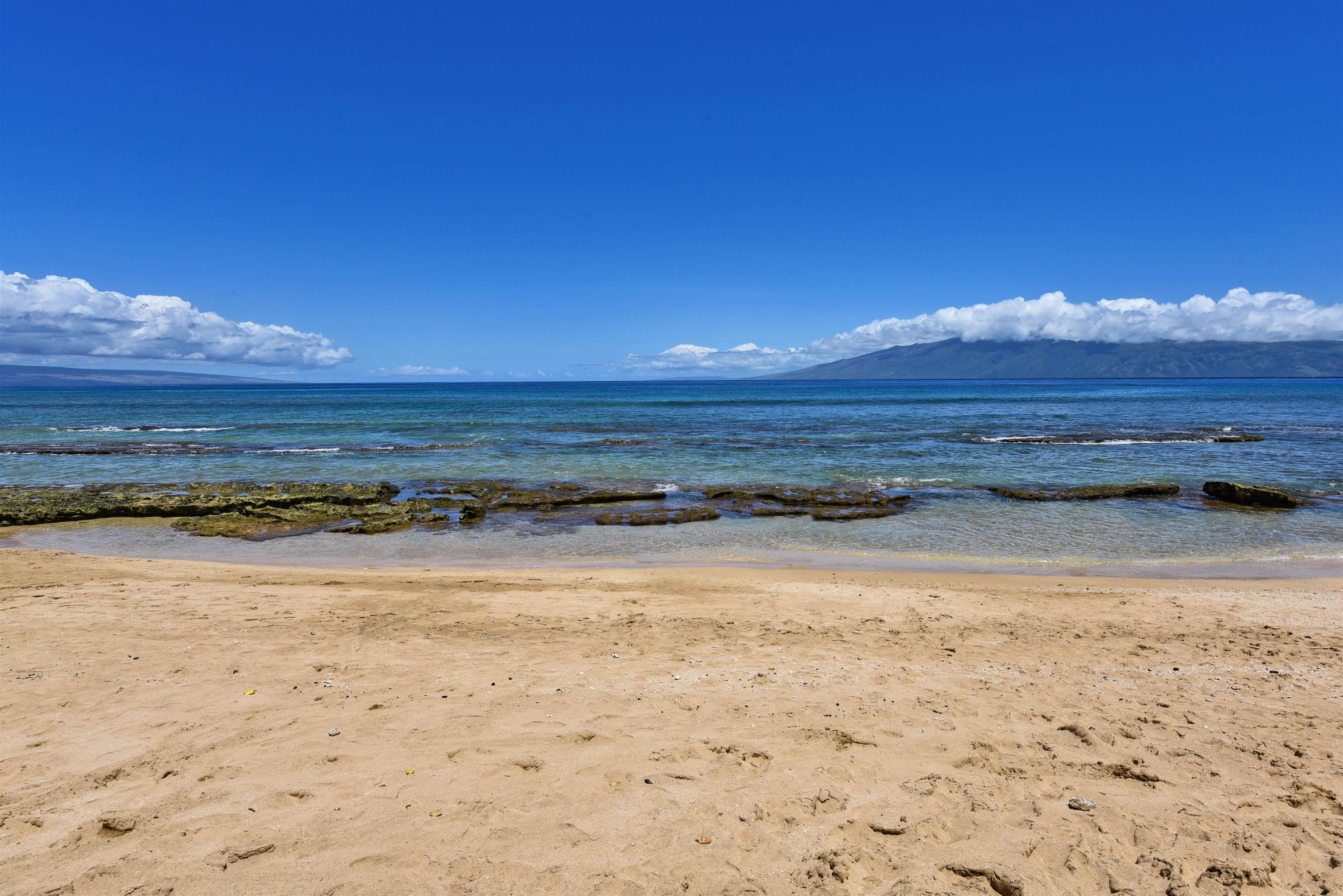 Hale Royale condo # A-115, Lahaina, Hawaii - photo 48 of 50