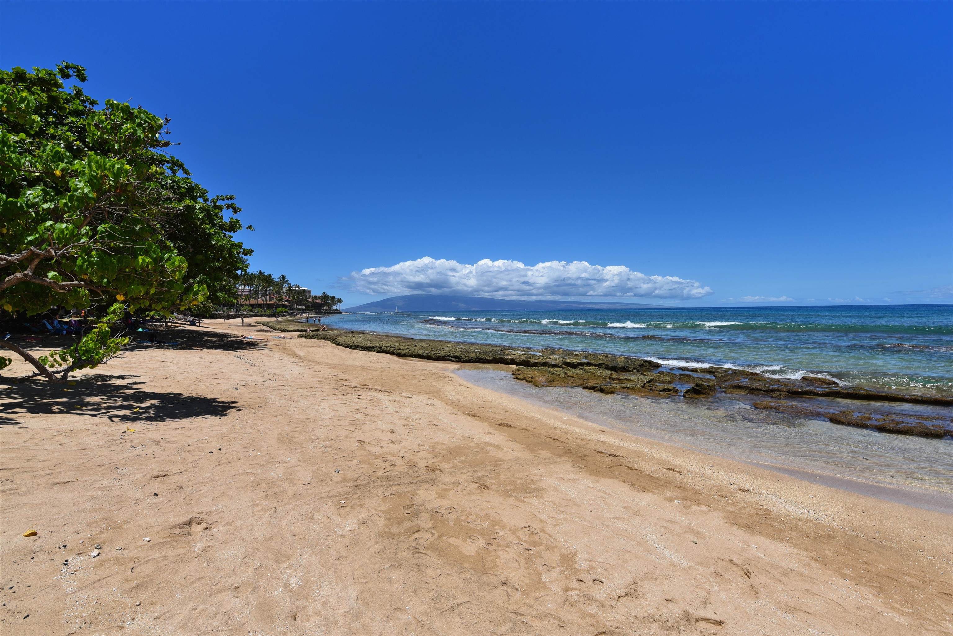 Hale Royale condo # A-115, Lahaina, Hawaii - photo 49 of 50