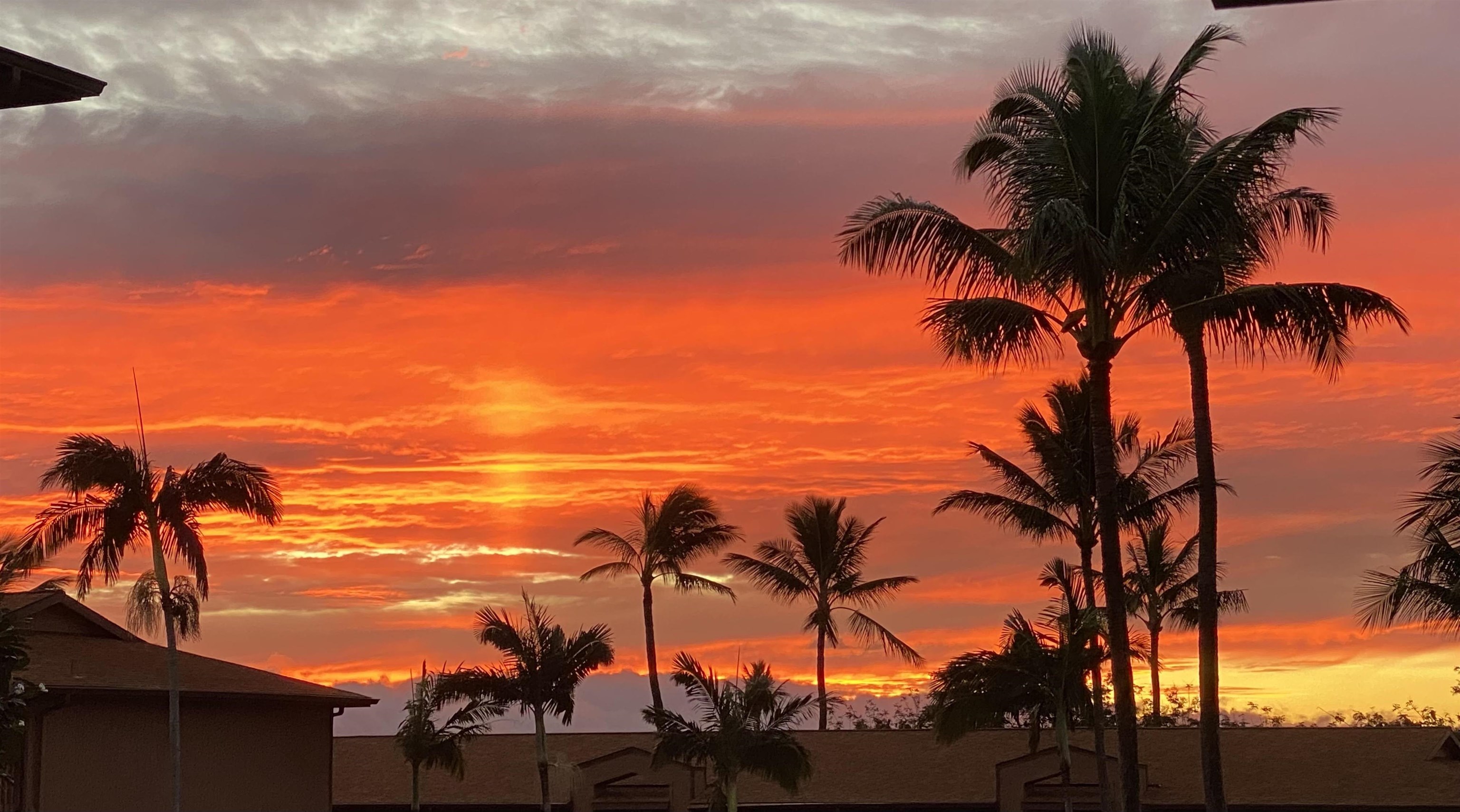 Hale Royale condo # A-205, Lahaina, Hawaii - photo 3 of 24