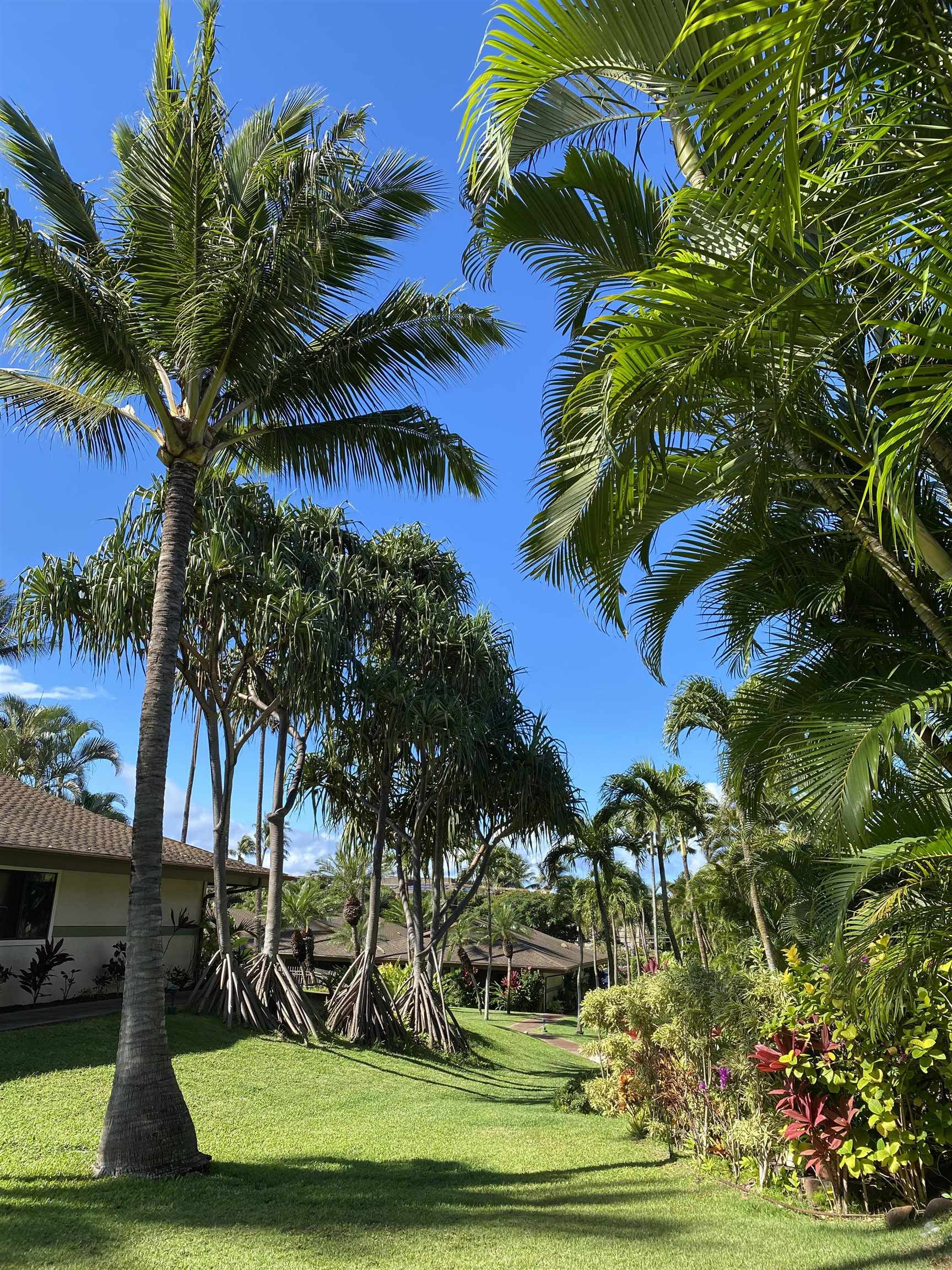 Hale Royale condo # A-205, Lahaina, Hawaii - photo 10 of 24