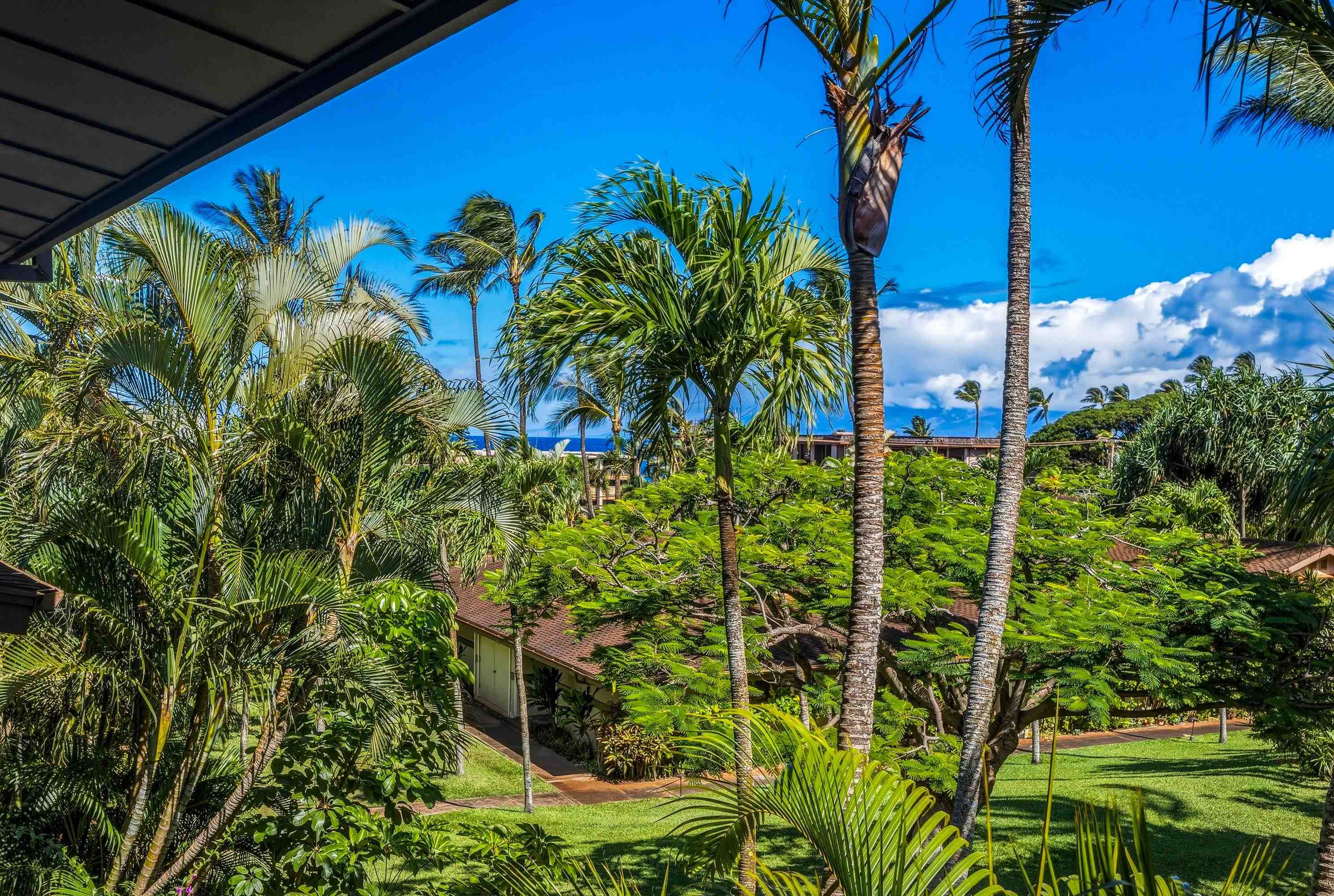 Hale Royale condo # B104, Lahaina, Hawaii - photo 13 of 50