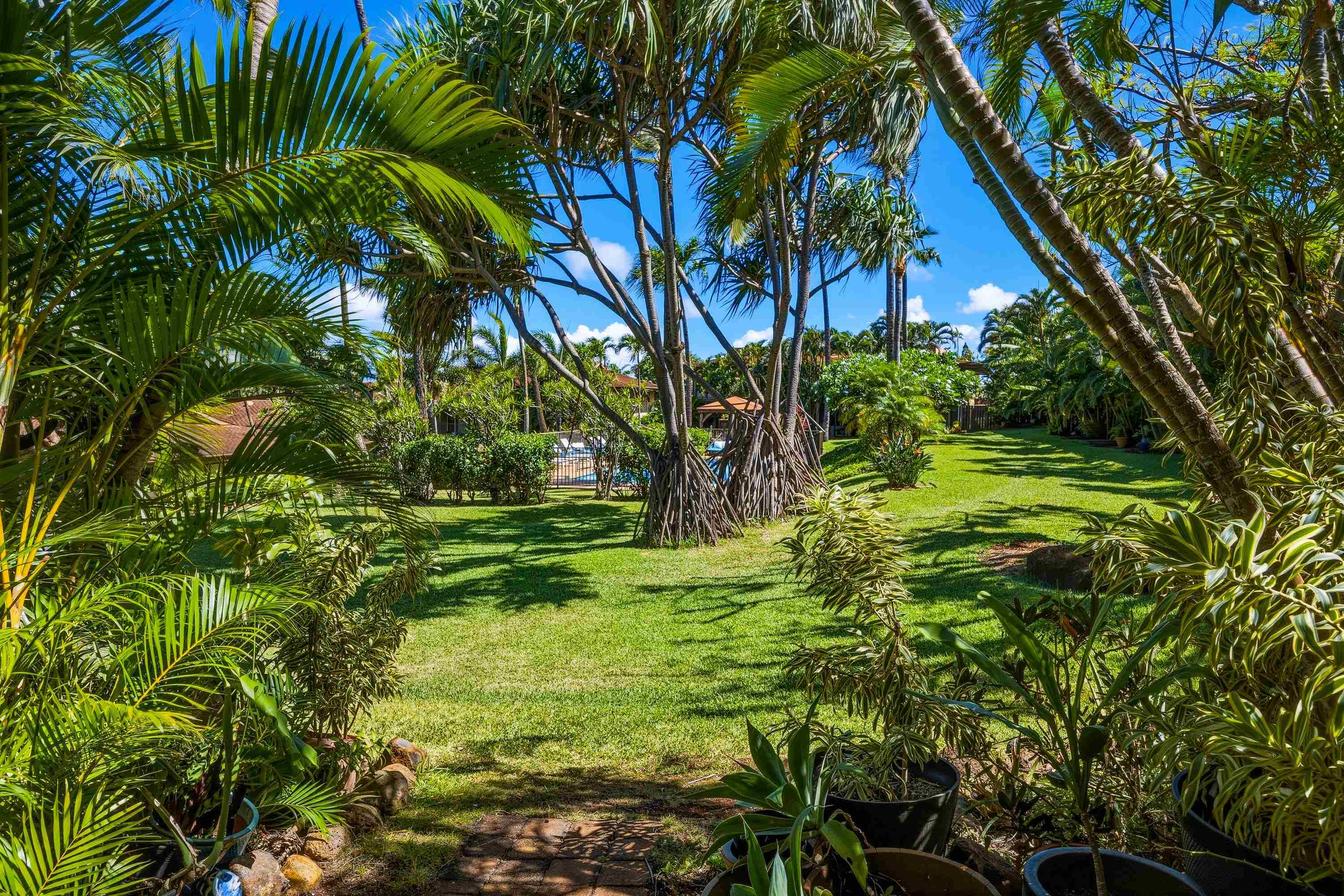 Hale Royale condo # B104, Lahaina, Hawaii - photo 36 of 50