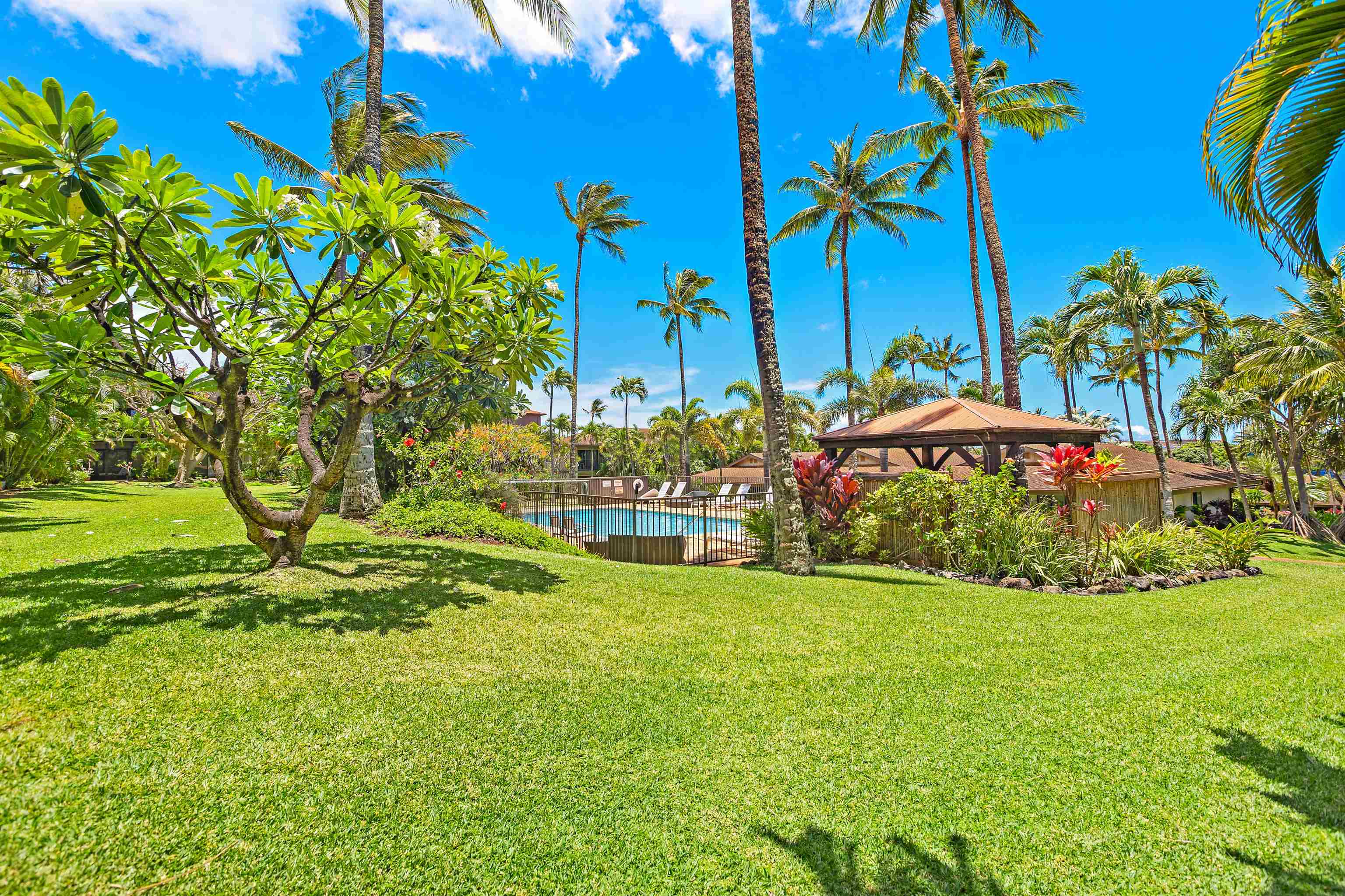 Hale Royale condo # D101, Lahaina, Hawaii - photo 5 of 40