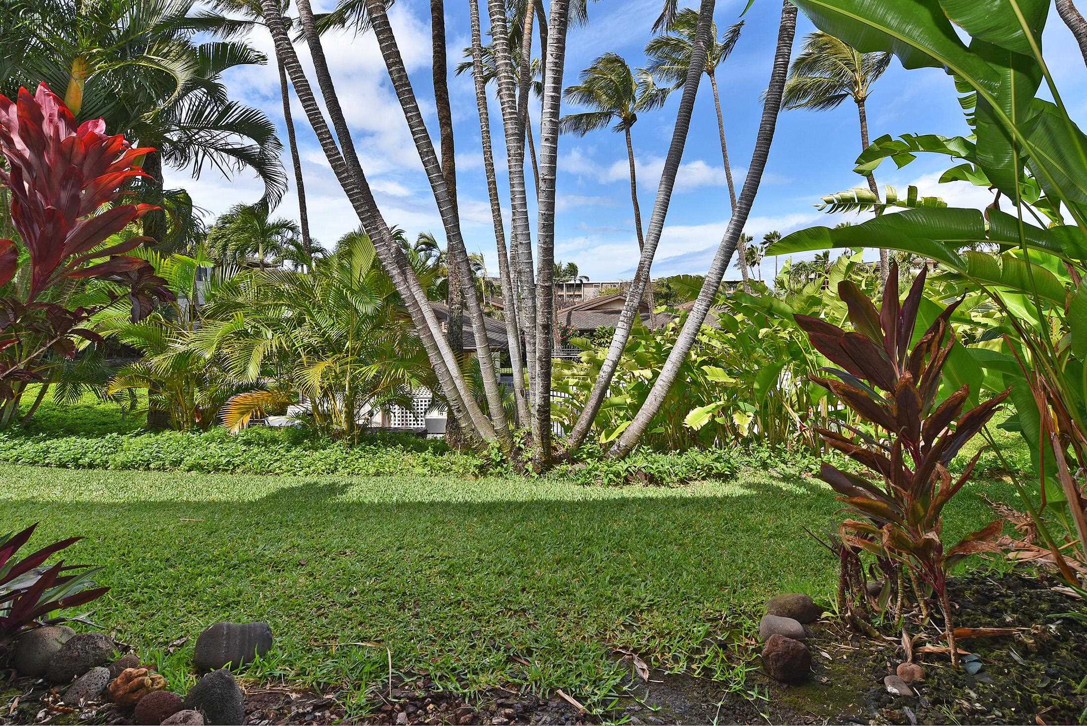 Hale Royale condo # E-102, Lahaina, Hawaii - photo 21 of 24