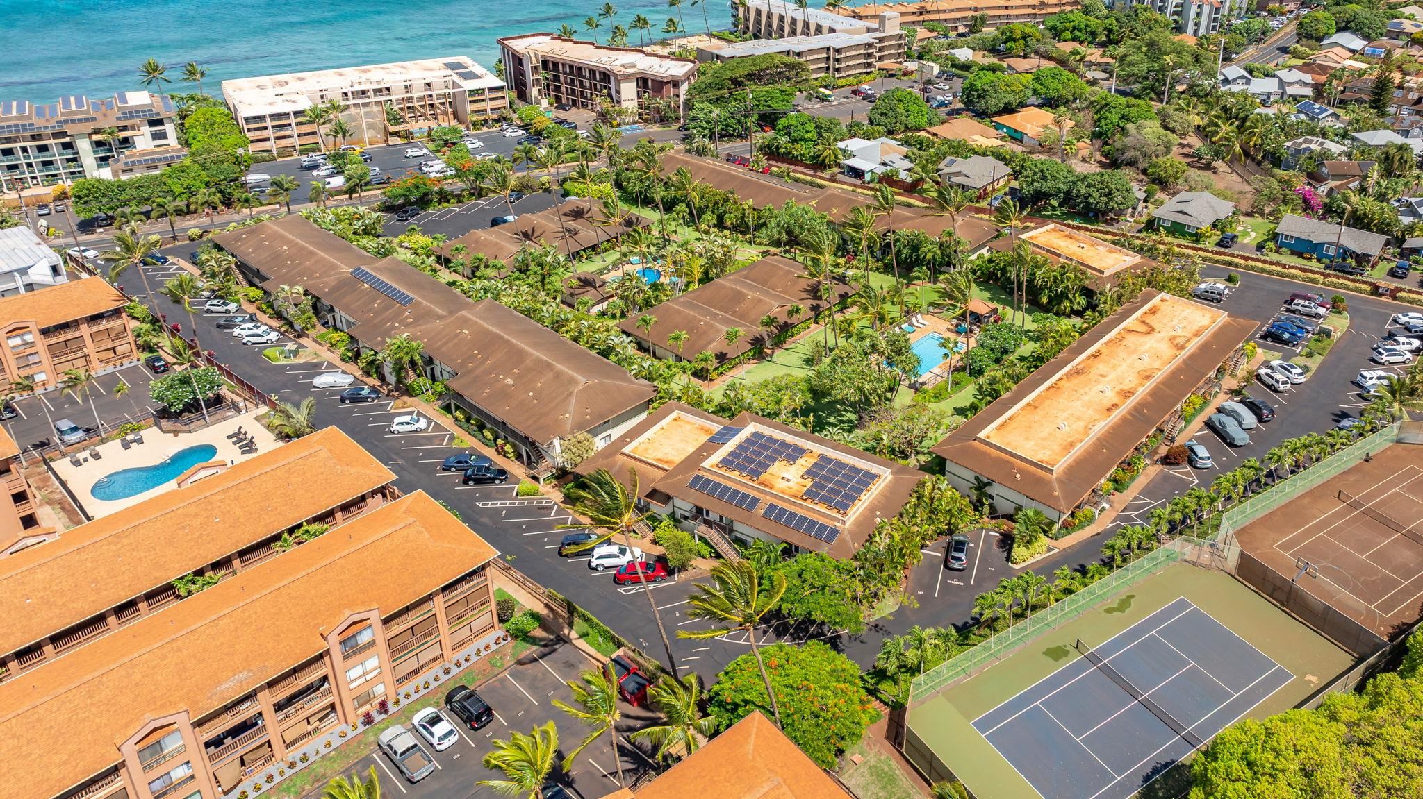 Hale Royale condo # E212, Lahaina, Hawaii - photo 26 of 36