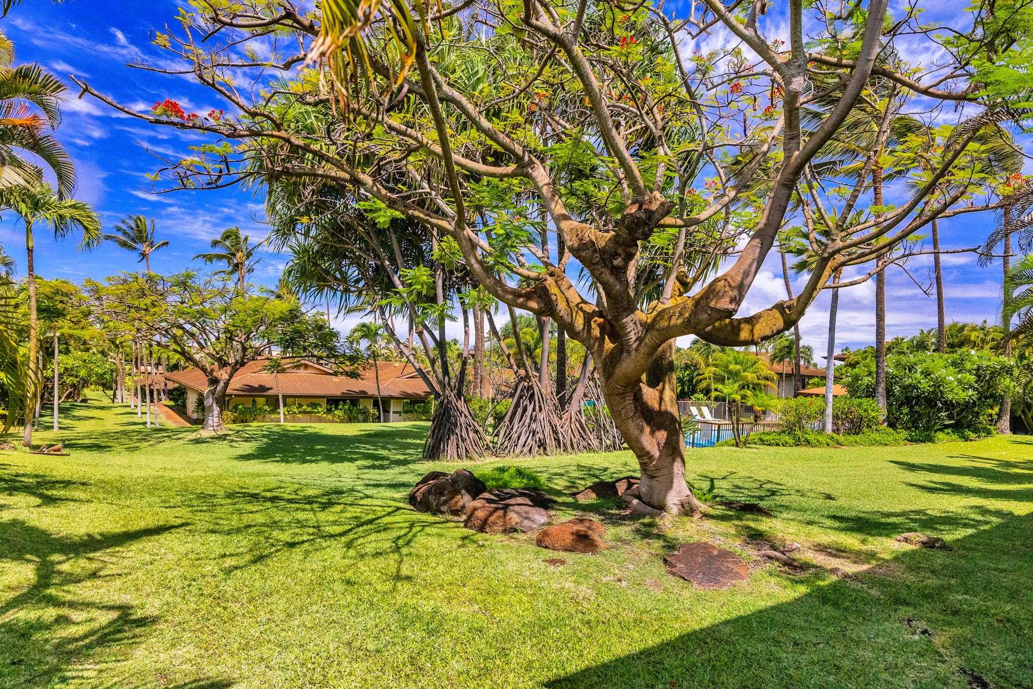 Hale Royale condo # E212, Lahaina, Hawaii - photo 28 of 36
