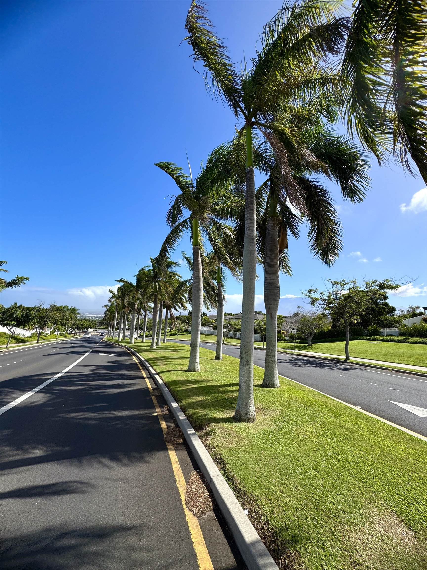 38  Maunaleo St Kehalani, Wailuku home - photo 38 of 38
