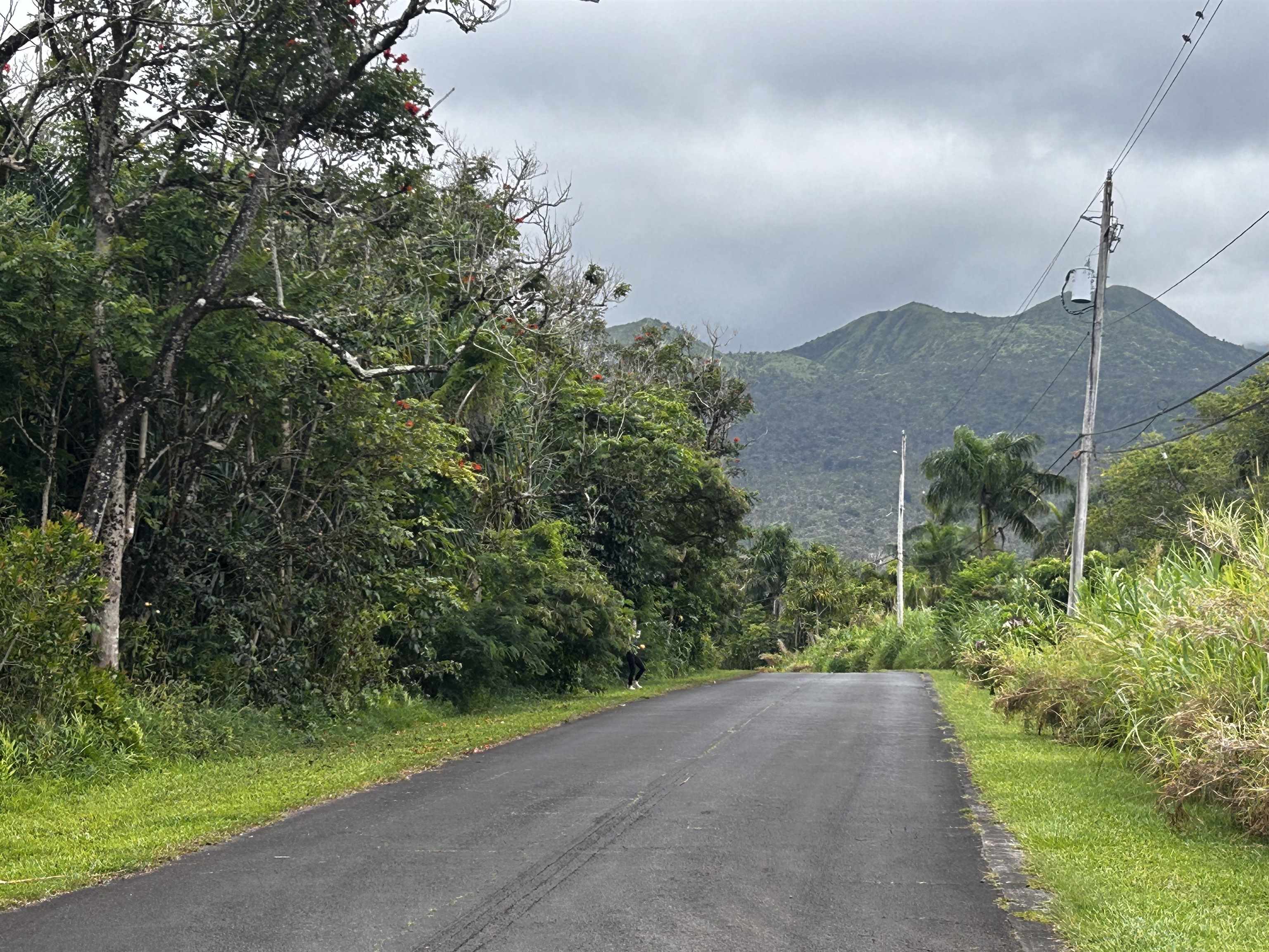 380 Alalele Pl  Hana, Hi vacant land for sale - photo 16 of 20