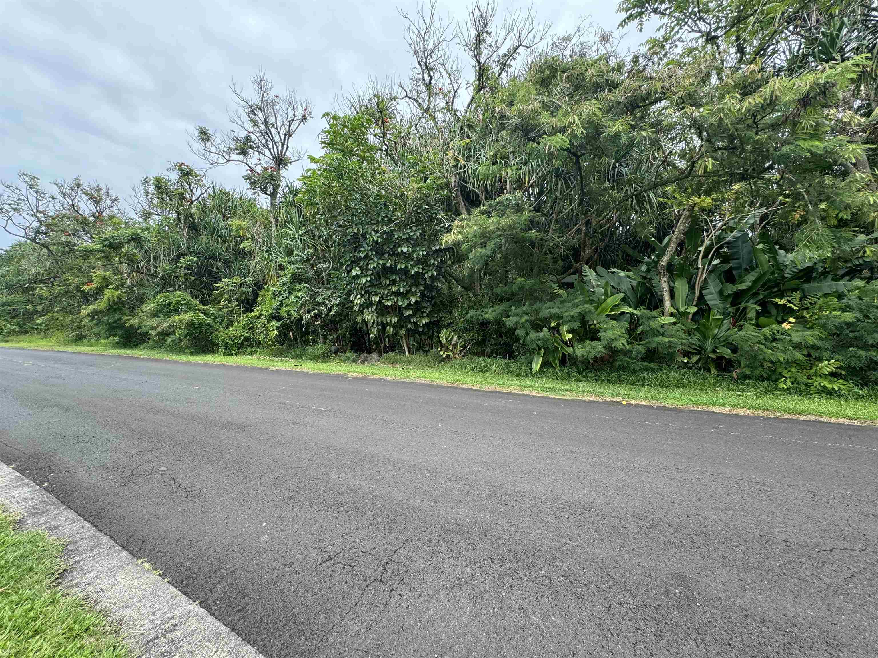 380 Alalele Pl  Hana, Hi vacant land for sale - photo 19 of 20