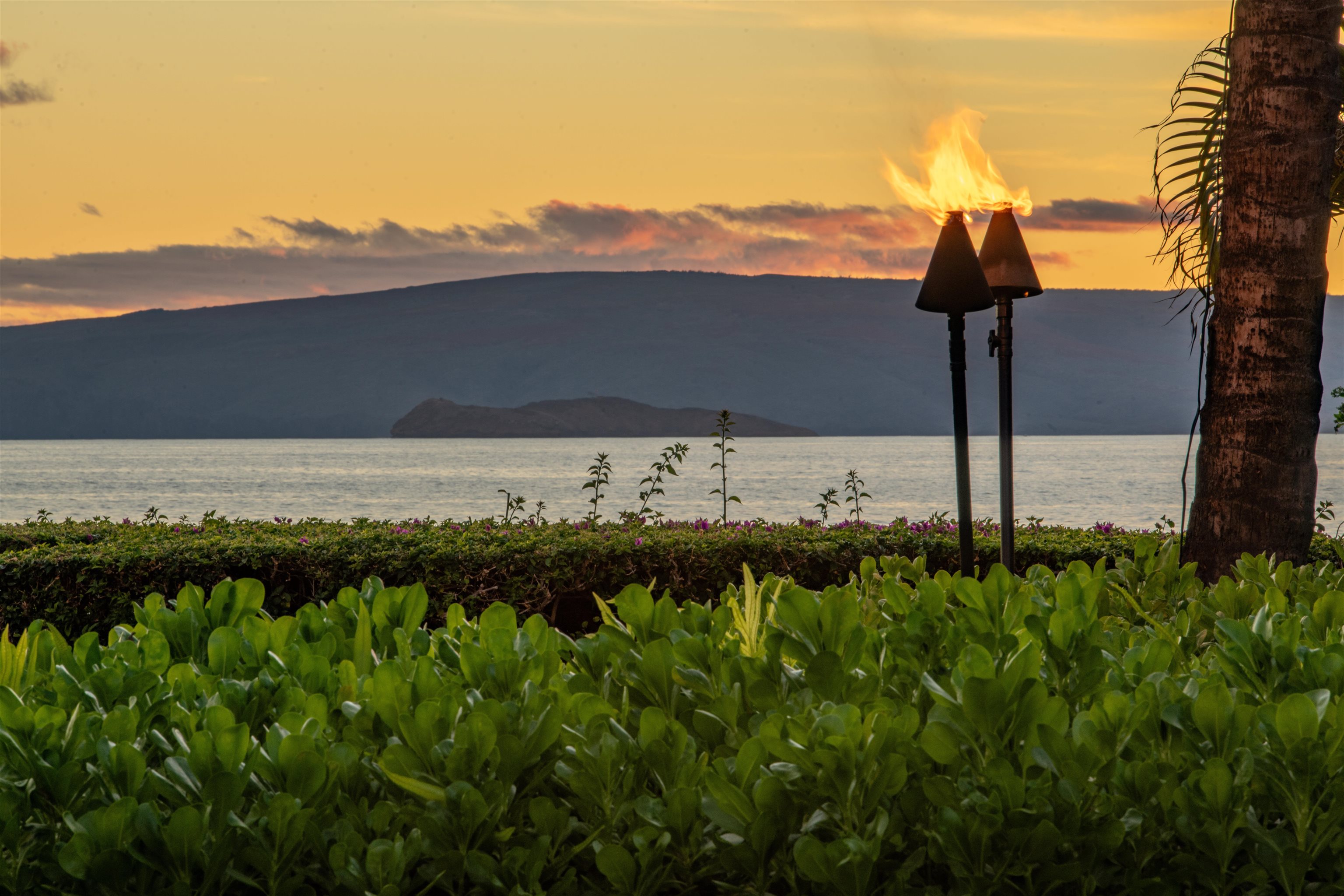 Wailea Beach Villas condo # B-101, Kihei, Hawaii - photo 11 of 50