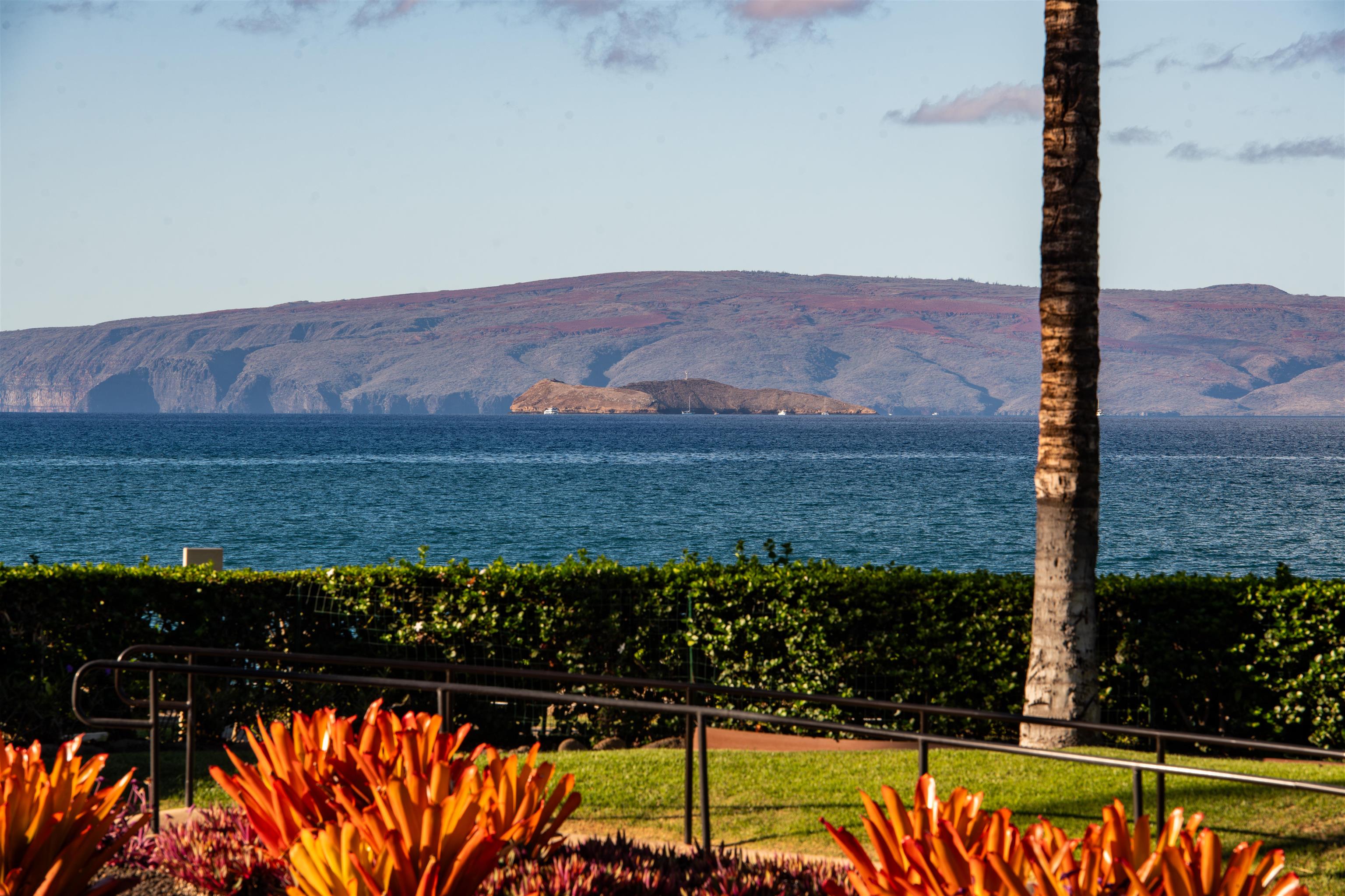 Wailea Beach Villas condo # B-101, Kihei, Hawaii - photo 13 of 50