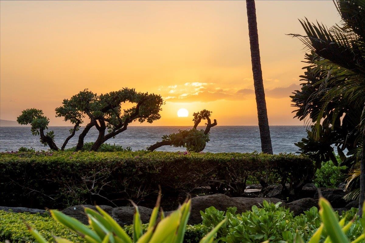 Wailea Beach Villas condo # B102, Kihei, Hawaii - photo 50 of 50