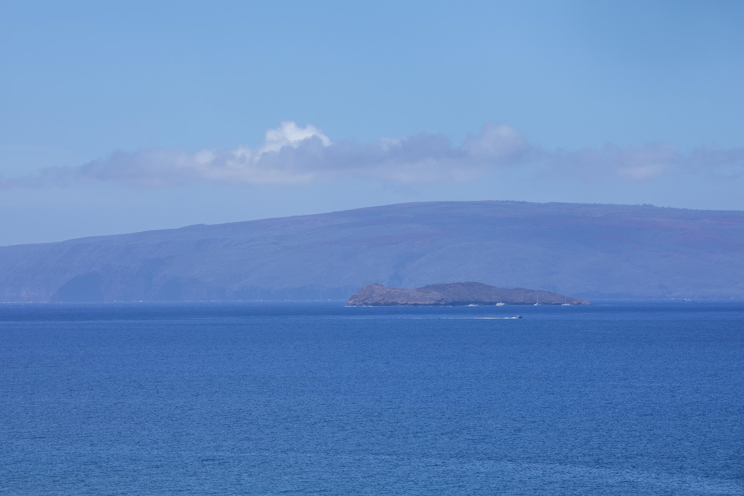 Wailea Beach Villas condo # J505, Kihei, Hawaii - photo 7 of 50