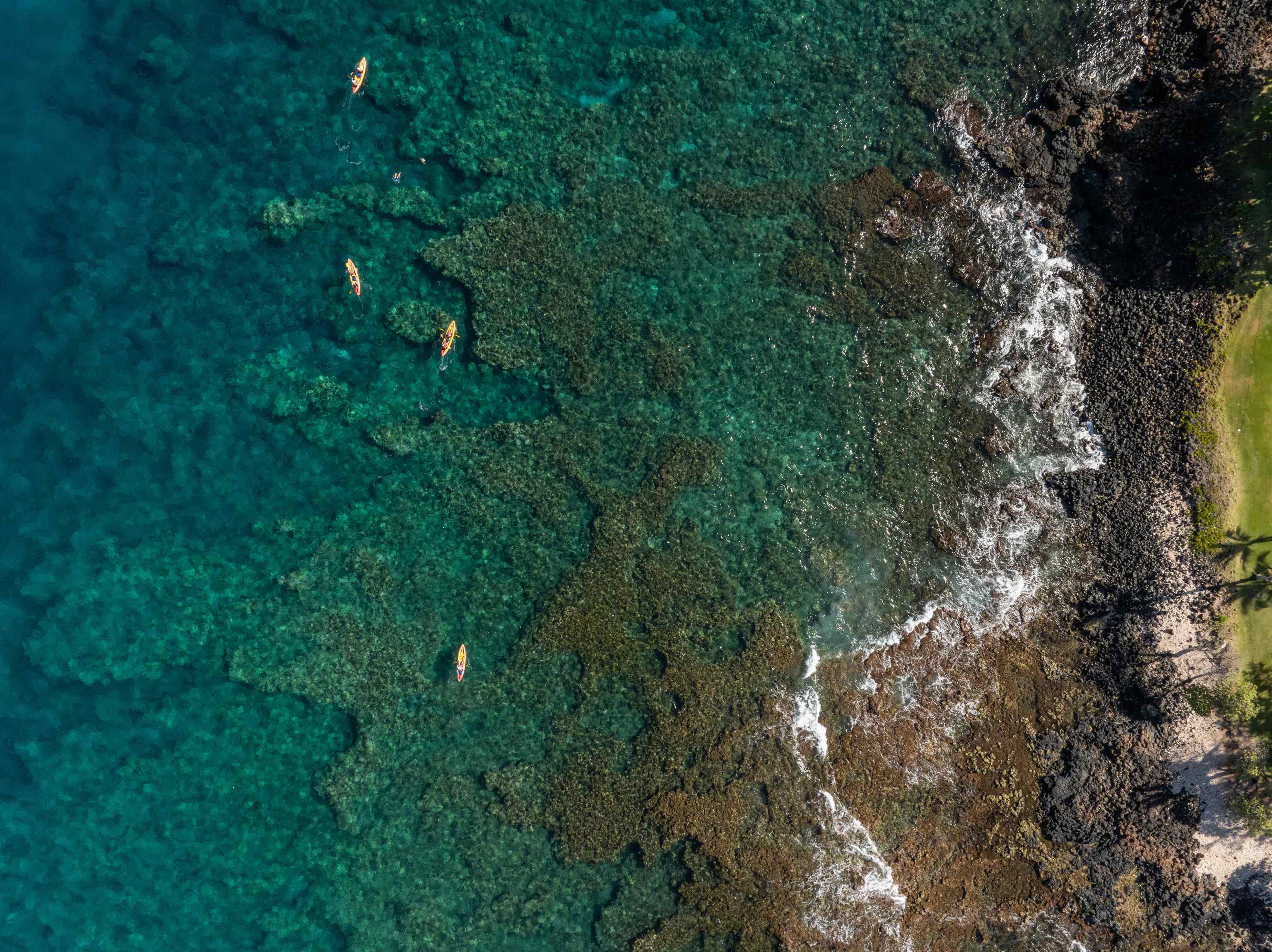 Wailea Beach Villas condo # B-102, Kihei, Hawaii - photo 18 of 50