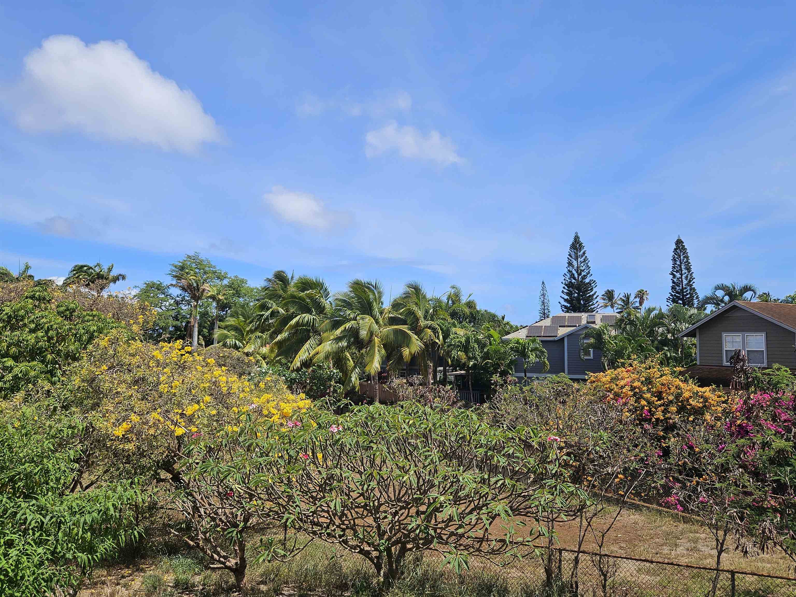 3808  Lower Honoapiilani Rd , Napili/Kahana/Honokowai home - photo 31 of 34
