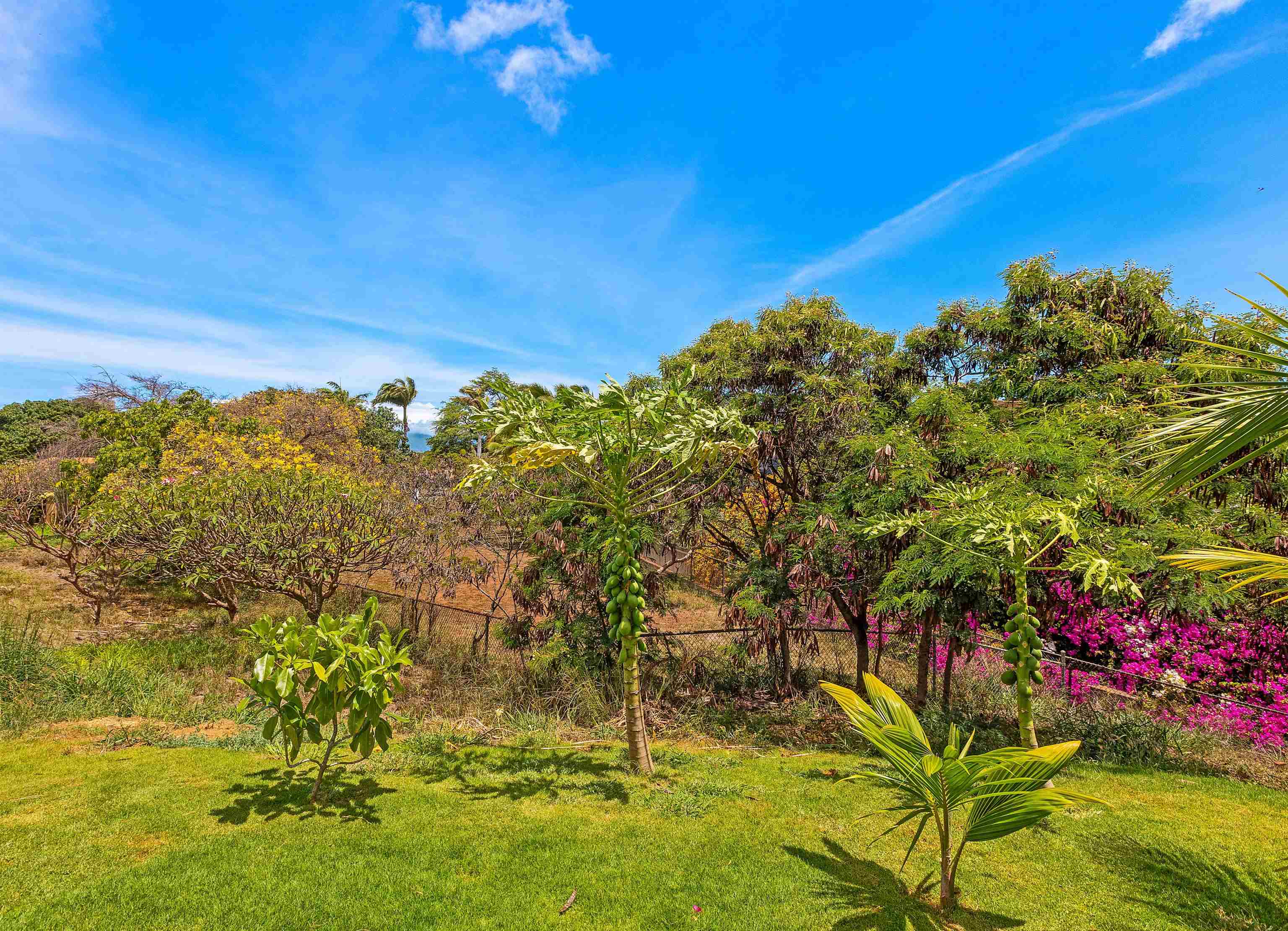 3808  Lower Honoapiilani Rd , Napili/Kahana/Honokowai home - photo 6 of 34
