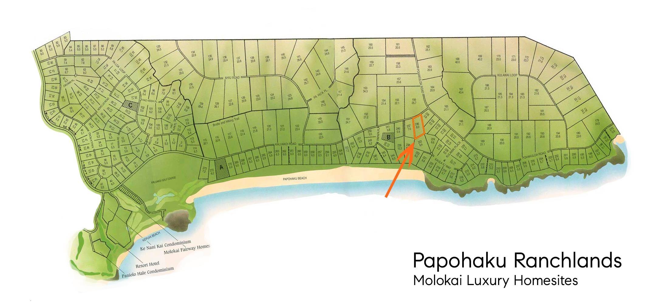 3815 Kalua Koi Rd Lot 236/364 Maunaloa, Hi vacant land for sale - photo 2 of 12