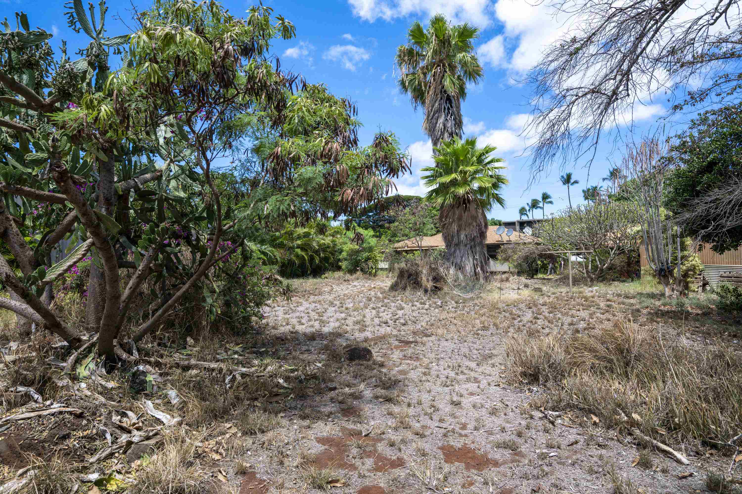 3816  Lower Honoapiilani Rd , Napili/Kahana/Honokowai home - photo 11 of 25