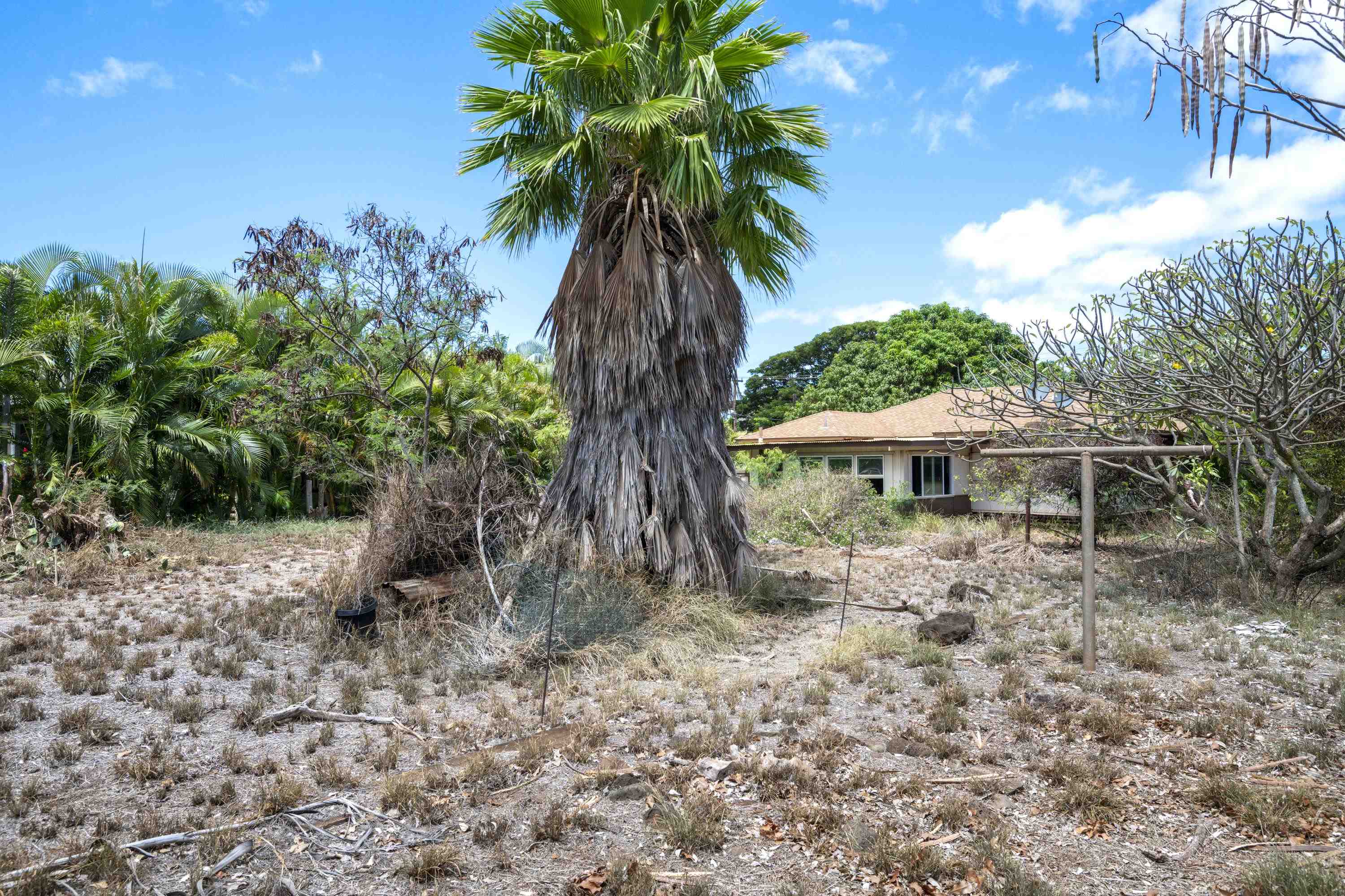 3816  Lower Honoapiilani Rd , Napili/Kahana/Honokowai home - photo 12 of 25