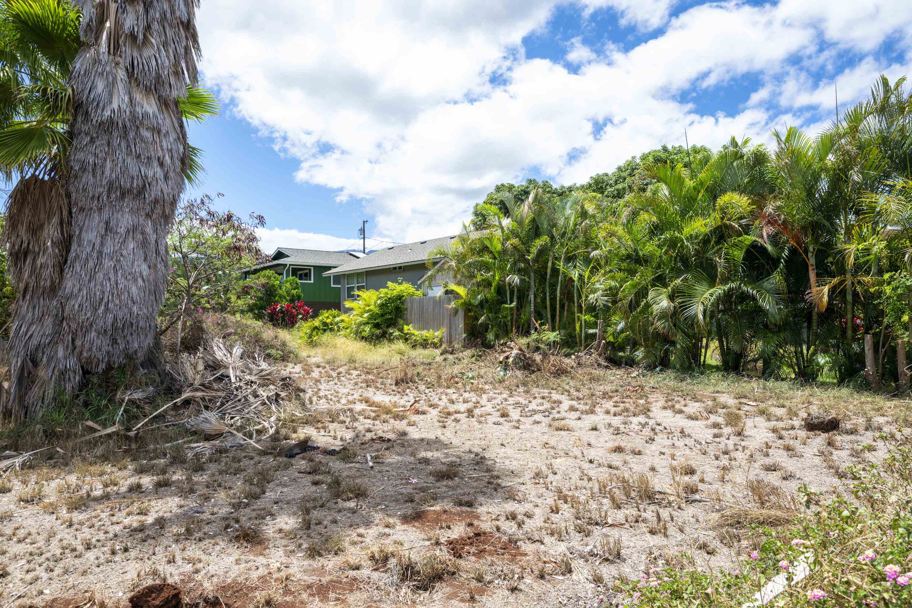 3816  Lower Honoapiilani Rd , Napili/Kahana/Honokowai home - photo 6 of 25