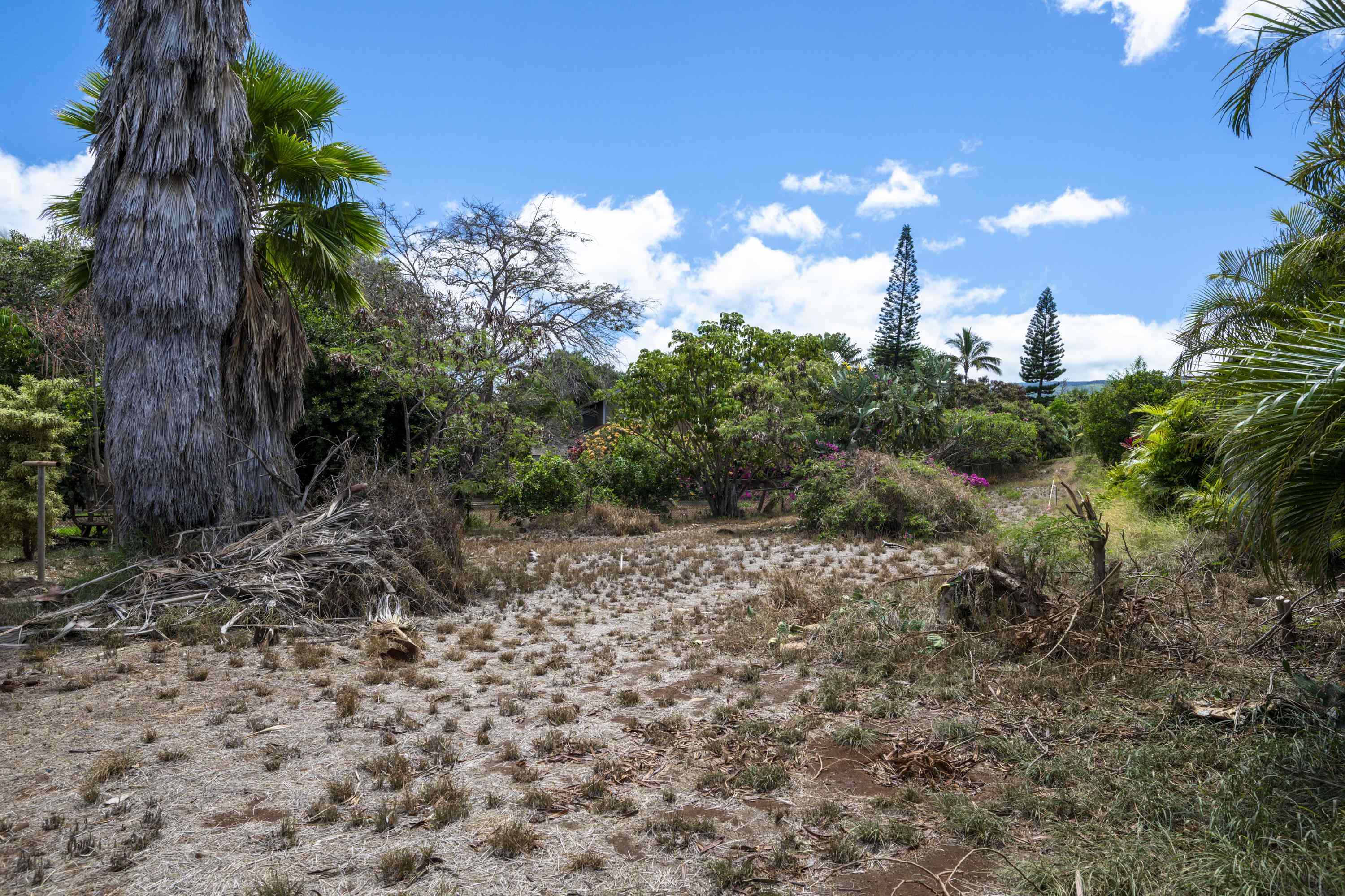3816  Lower Honoapiilani Rd , Napili/Kahana/Honokowai home - photo 7 of 25