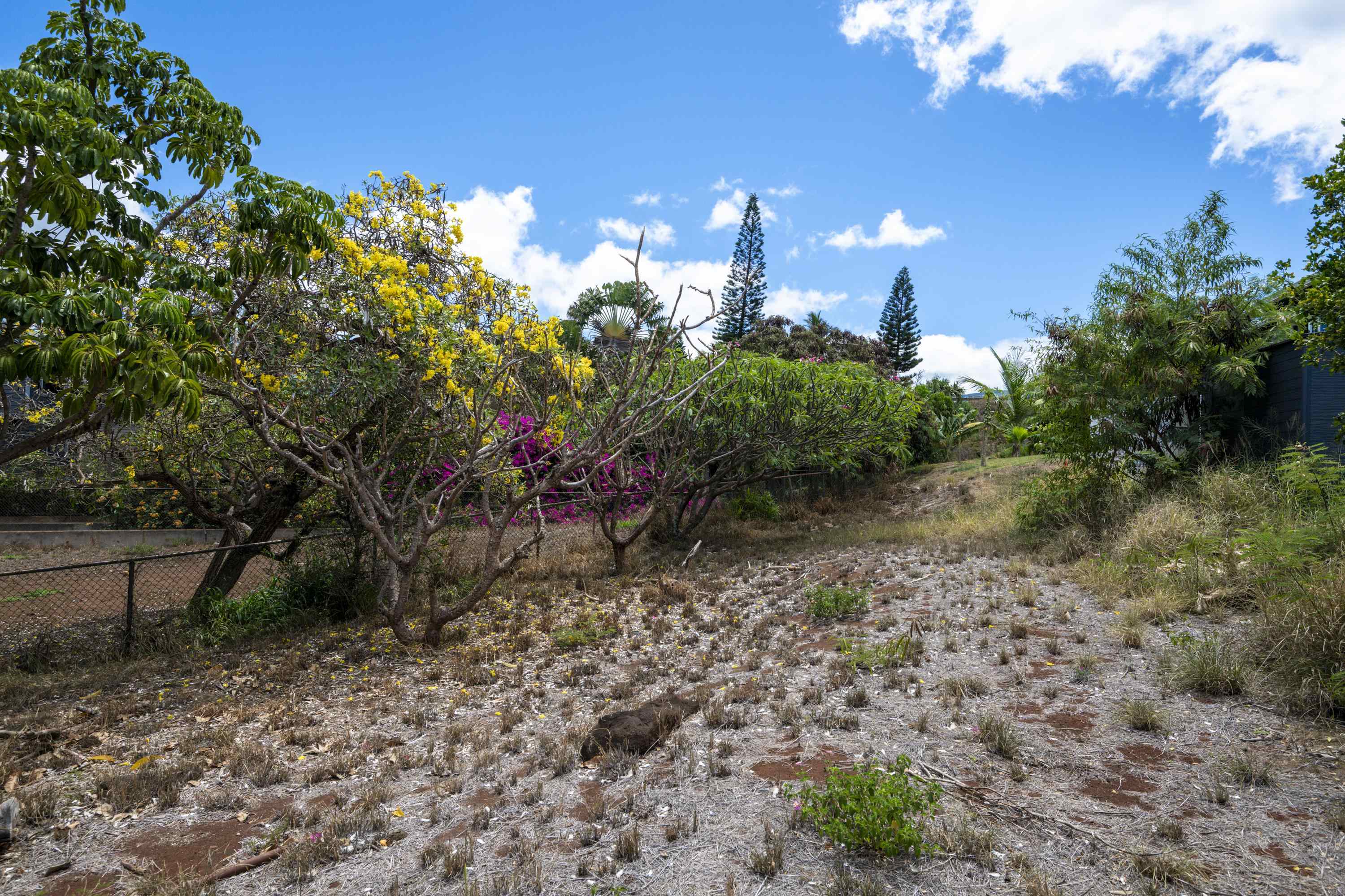 3816  Lower Honoapiilani Rd , Napili/Kahana/Honokowai home - photo 9 of 25