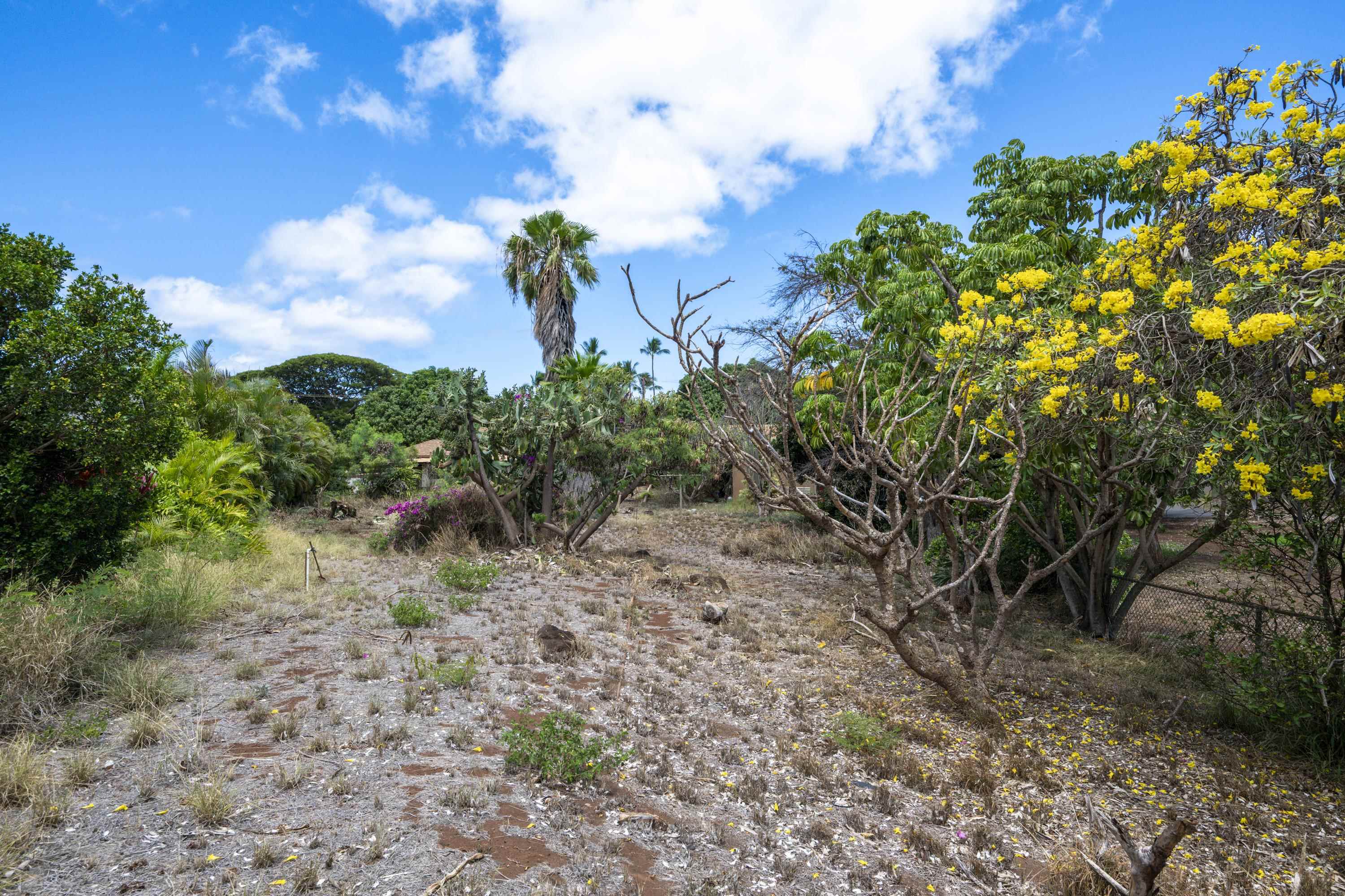 3816  Lower Honoapiilani Rd , Napili/Kahana/Honokowai home - photo 10 of 25