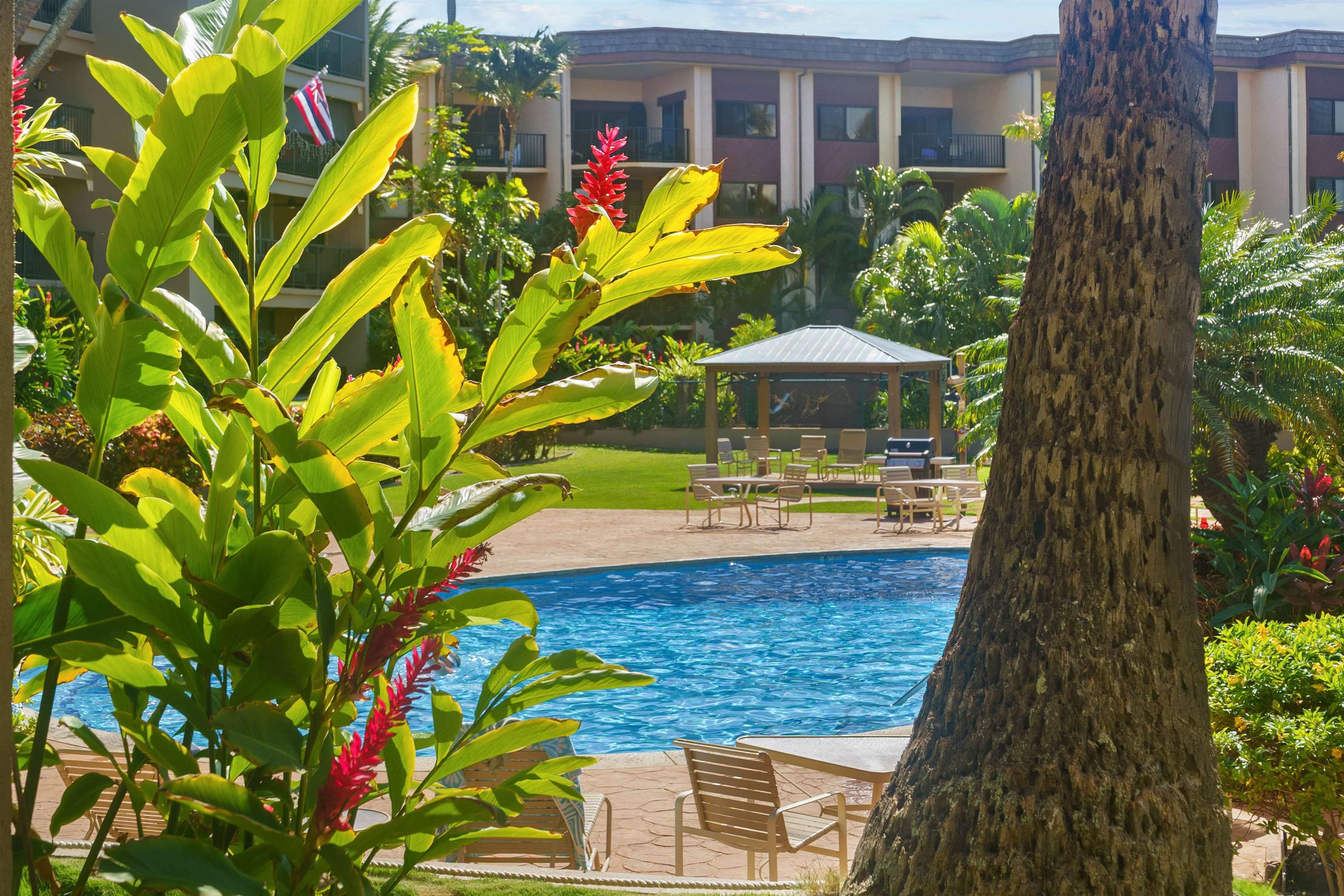 Hale Ono Loa condo # 105, Lahaina, Hawaii - photo 12 of 14