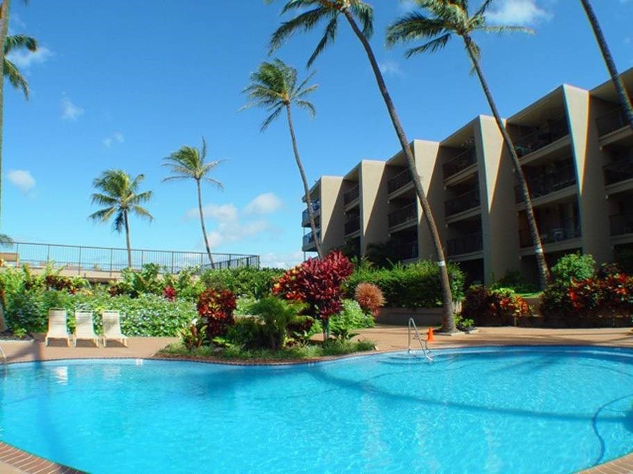 Hale Ono Loa condo # 417, Lahaina, Hawaii - photo 19 of 24