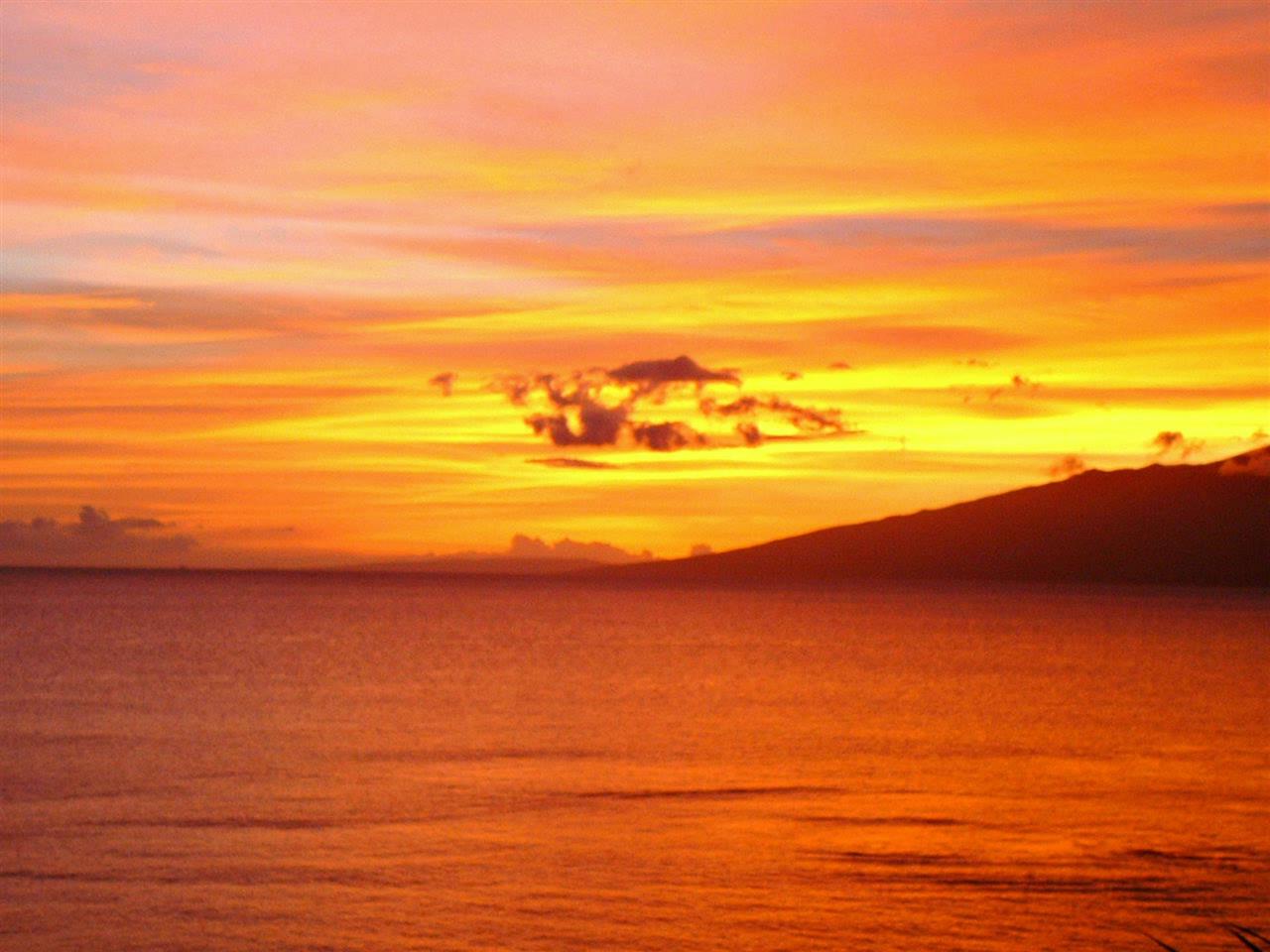 Hale Ono Loa condo # 417, Lahaina, Hawaii - photo 24 of 24