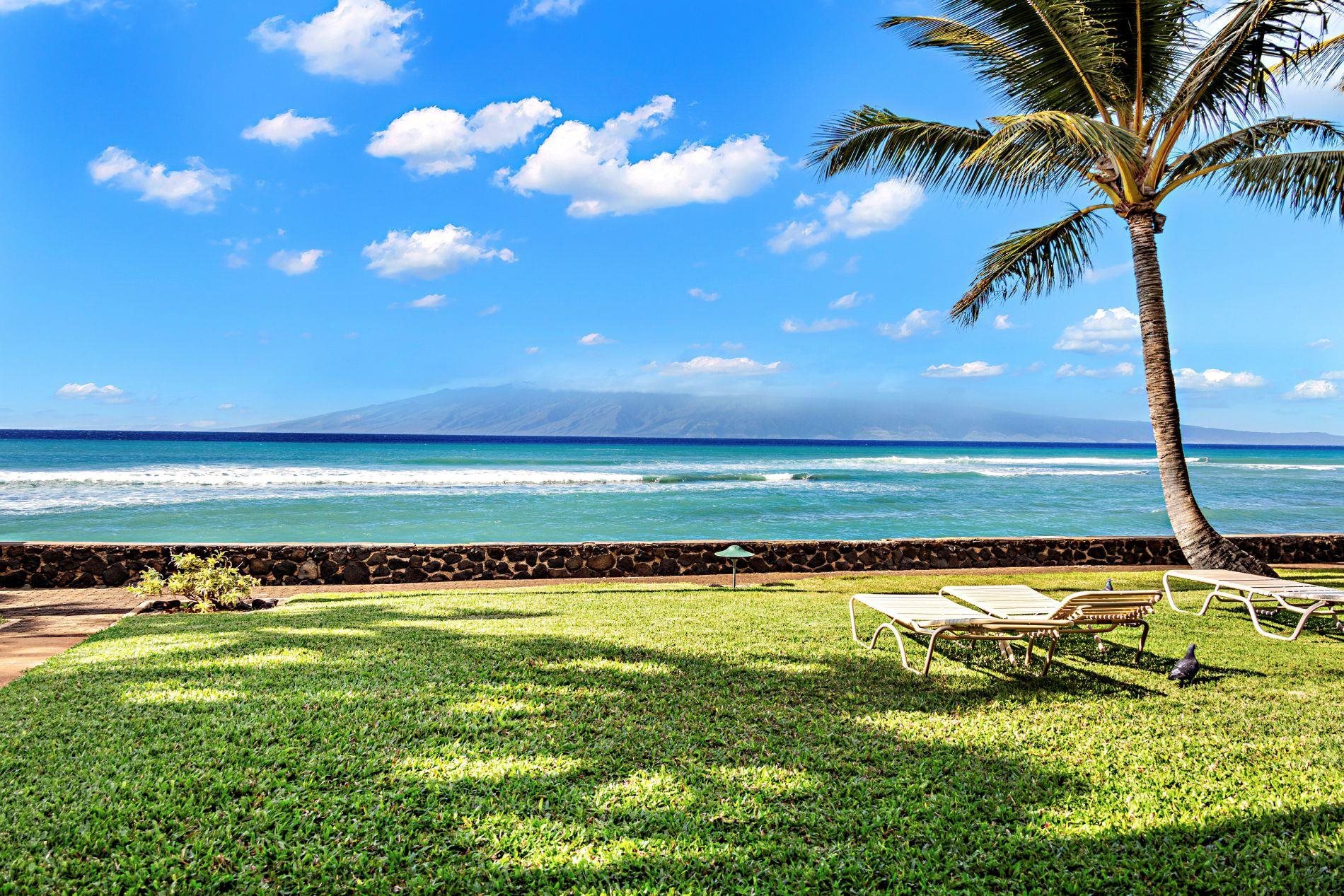 Lokelani condo # A 101, Lahaina, Hawaii - photo 3 of 35