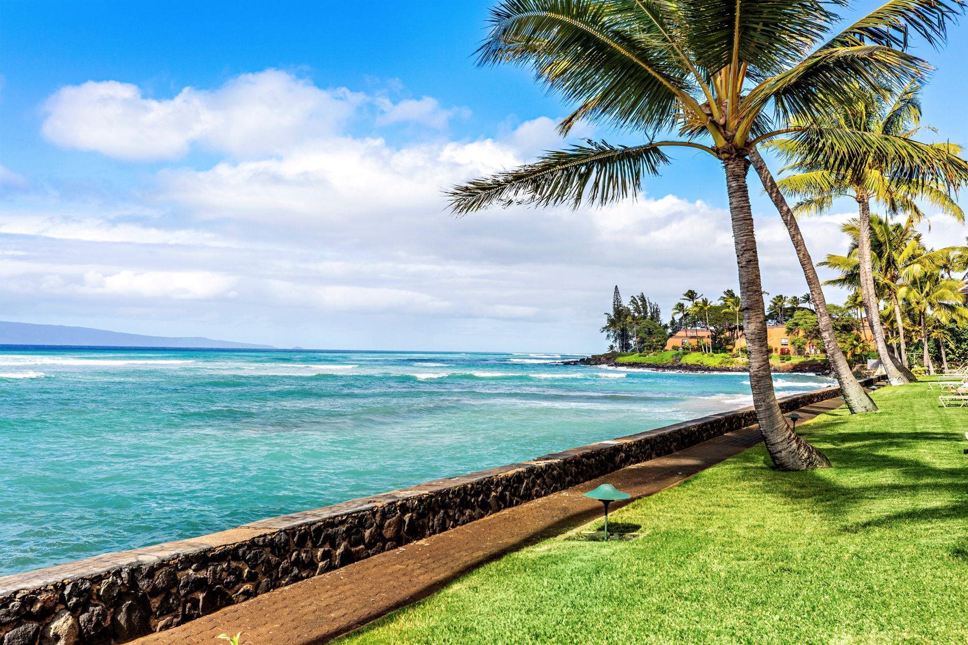 Lokelani condo # A 101, Lahaina, Hawaii - photo 35 of 35