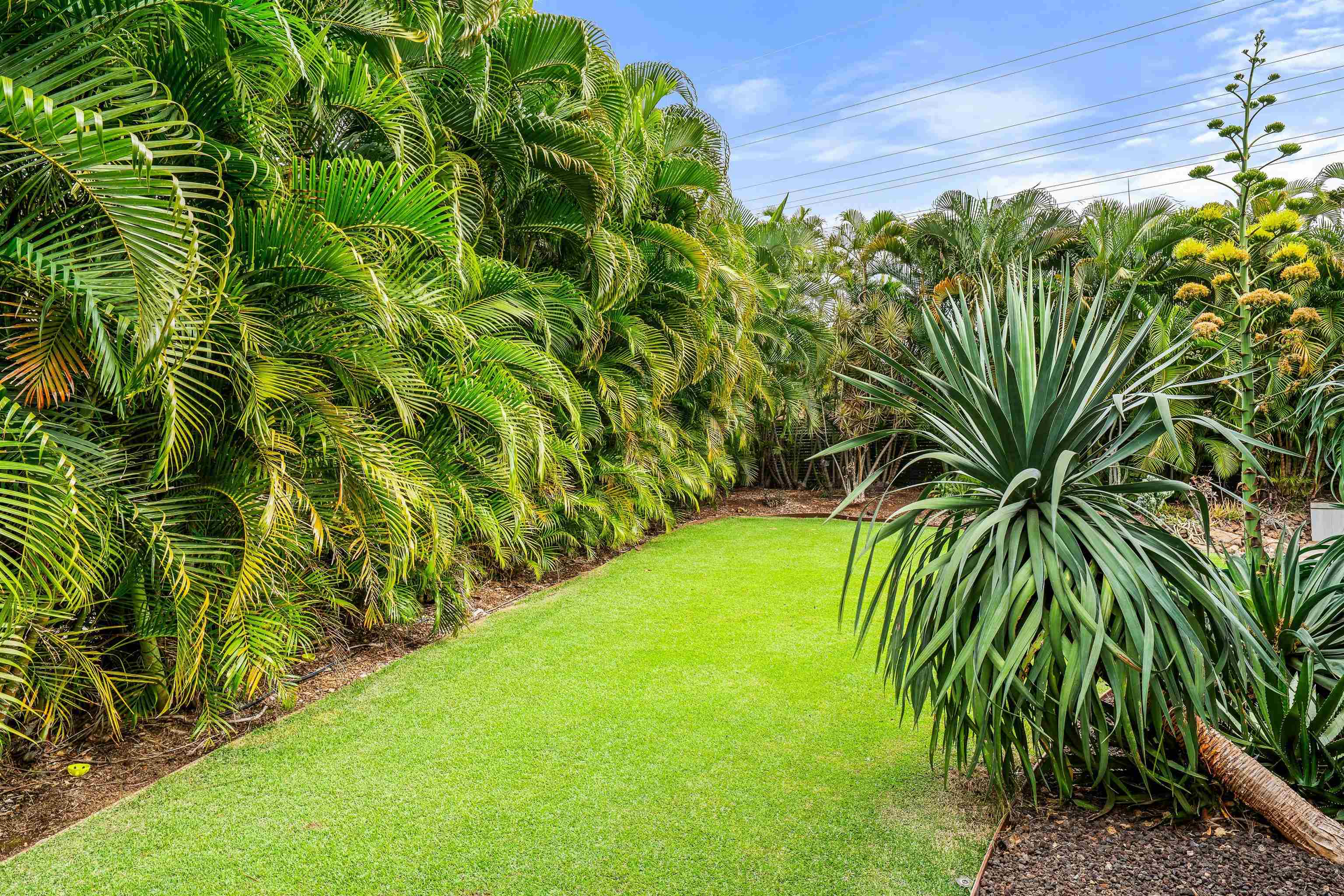 384  Pualoa Nani Pl Wailea, Wailea/Makena home - photo 32 of 50