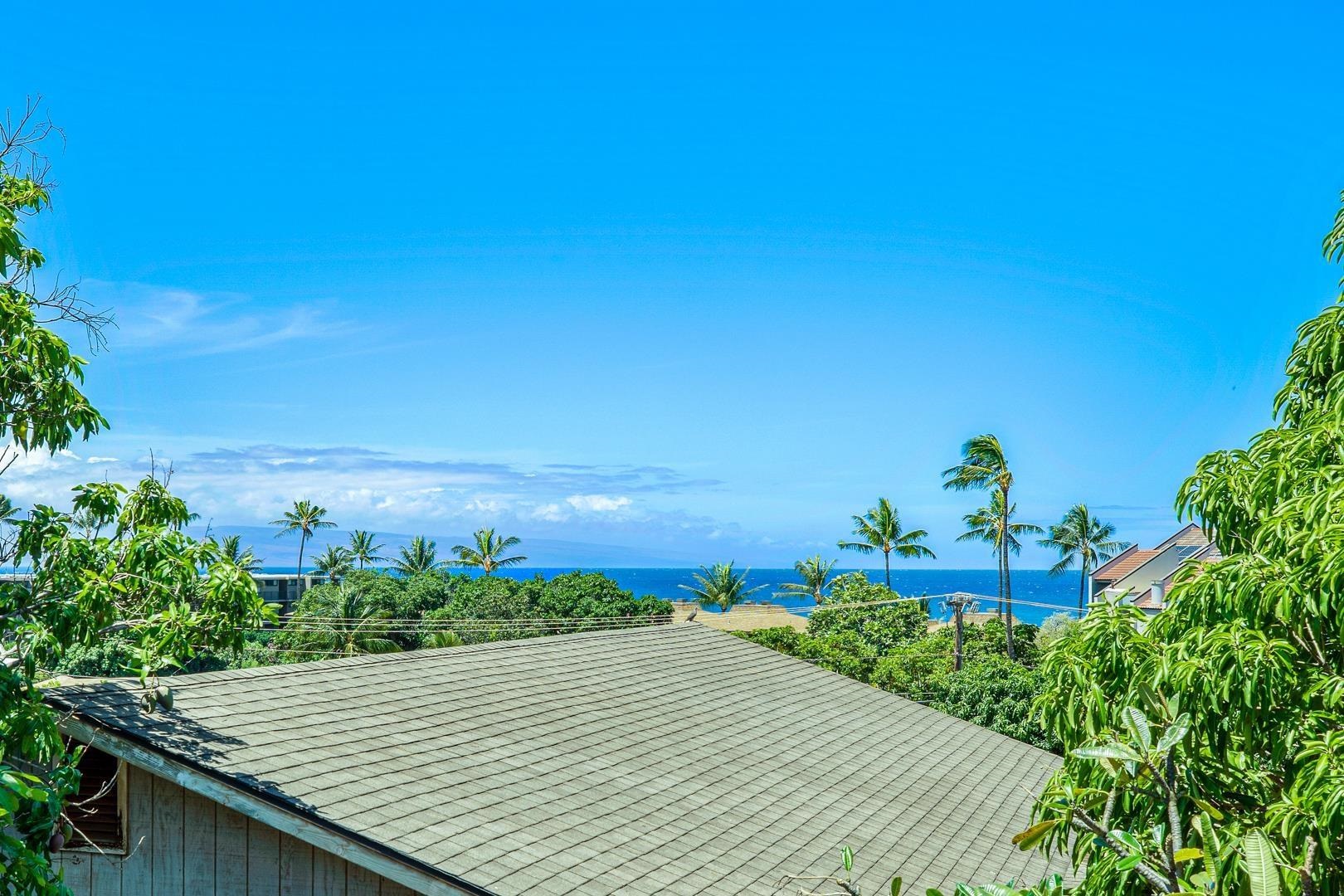 3863  Mahinahina St , Lahaina home - photo 2 of 42