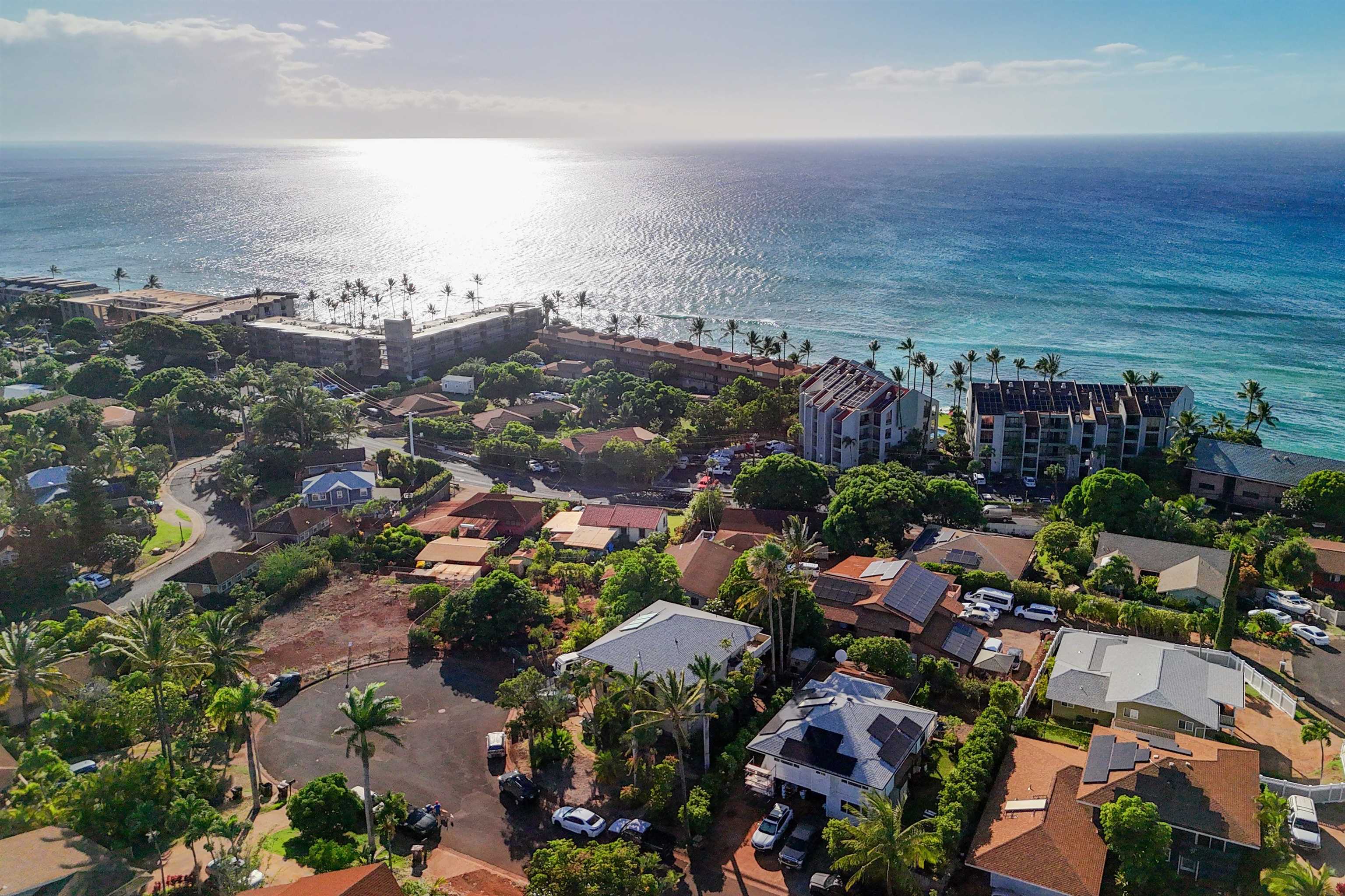 3863  Mahinahina St , Napili/Kahana/Honokowai home - photo 27 of 33