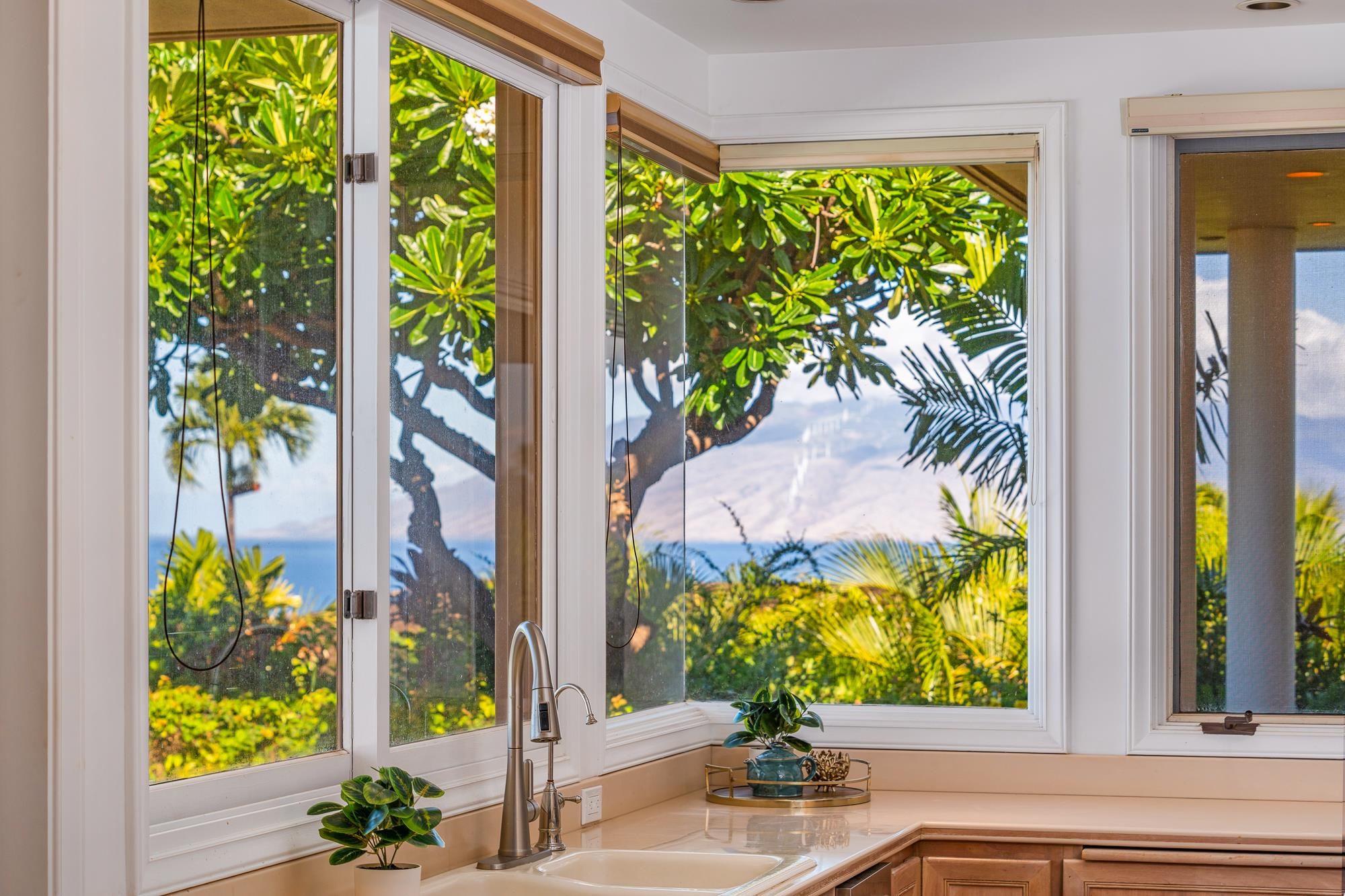 3870  Wailea Ekolu Pl Wailea, Wailea/Makena home - photo 16 of 48