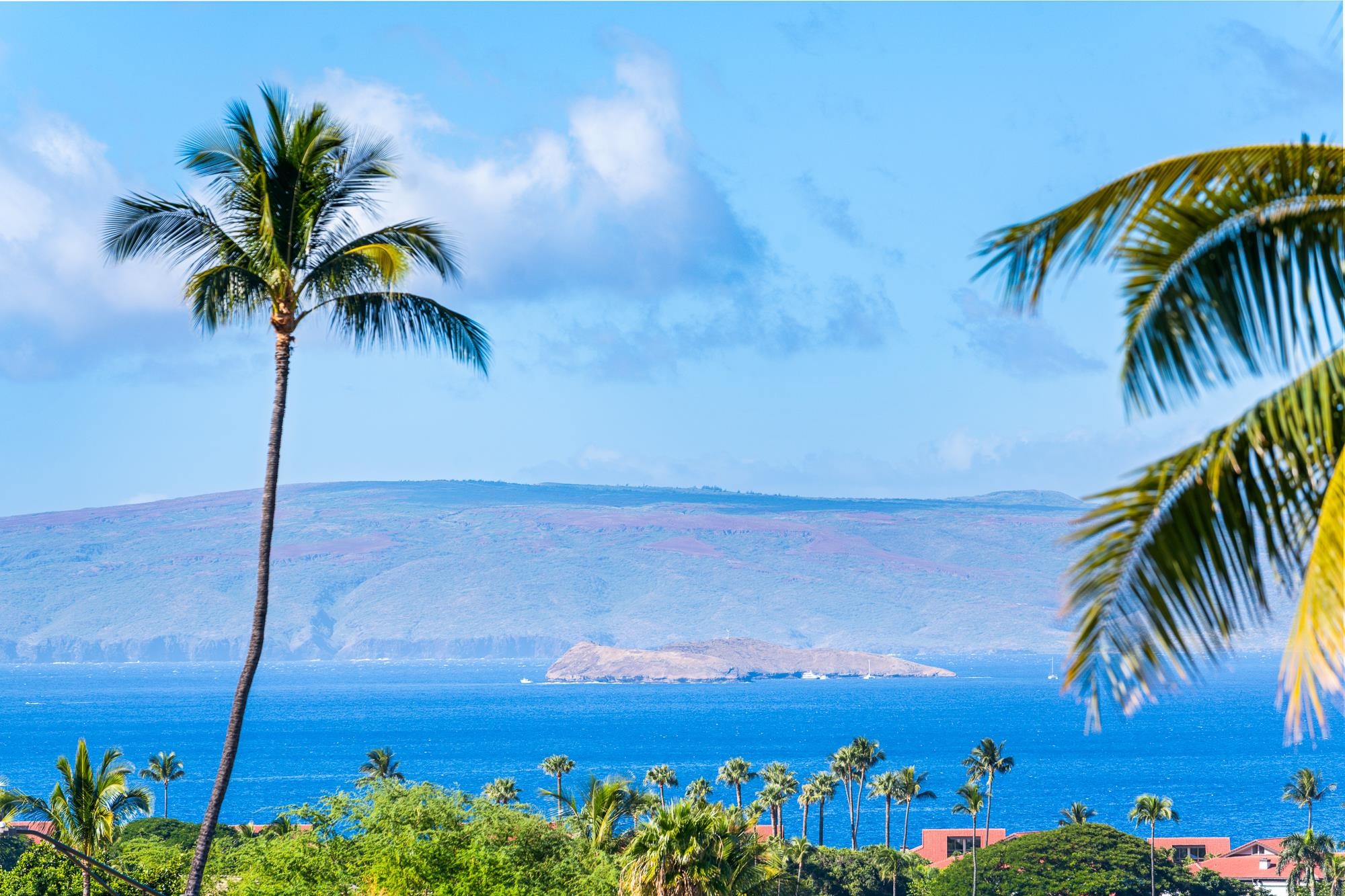 3870  Wailea Ekolu Pl Wailea, Wailea/Makena home - photo 21 of 48