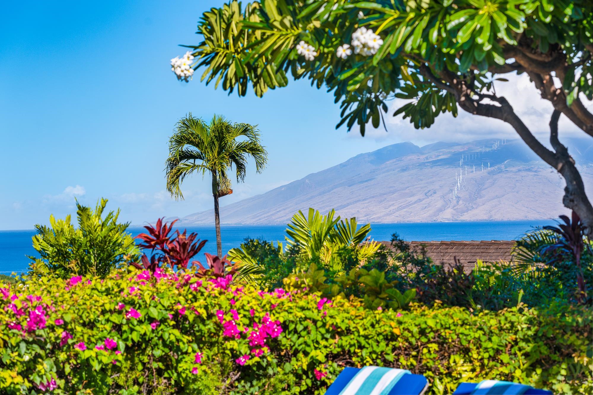 3870  Wailea Ekolu Pl Wailea, Wailea/Makena home - photo 40 of 48
