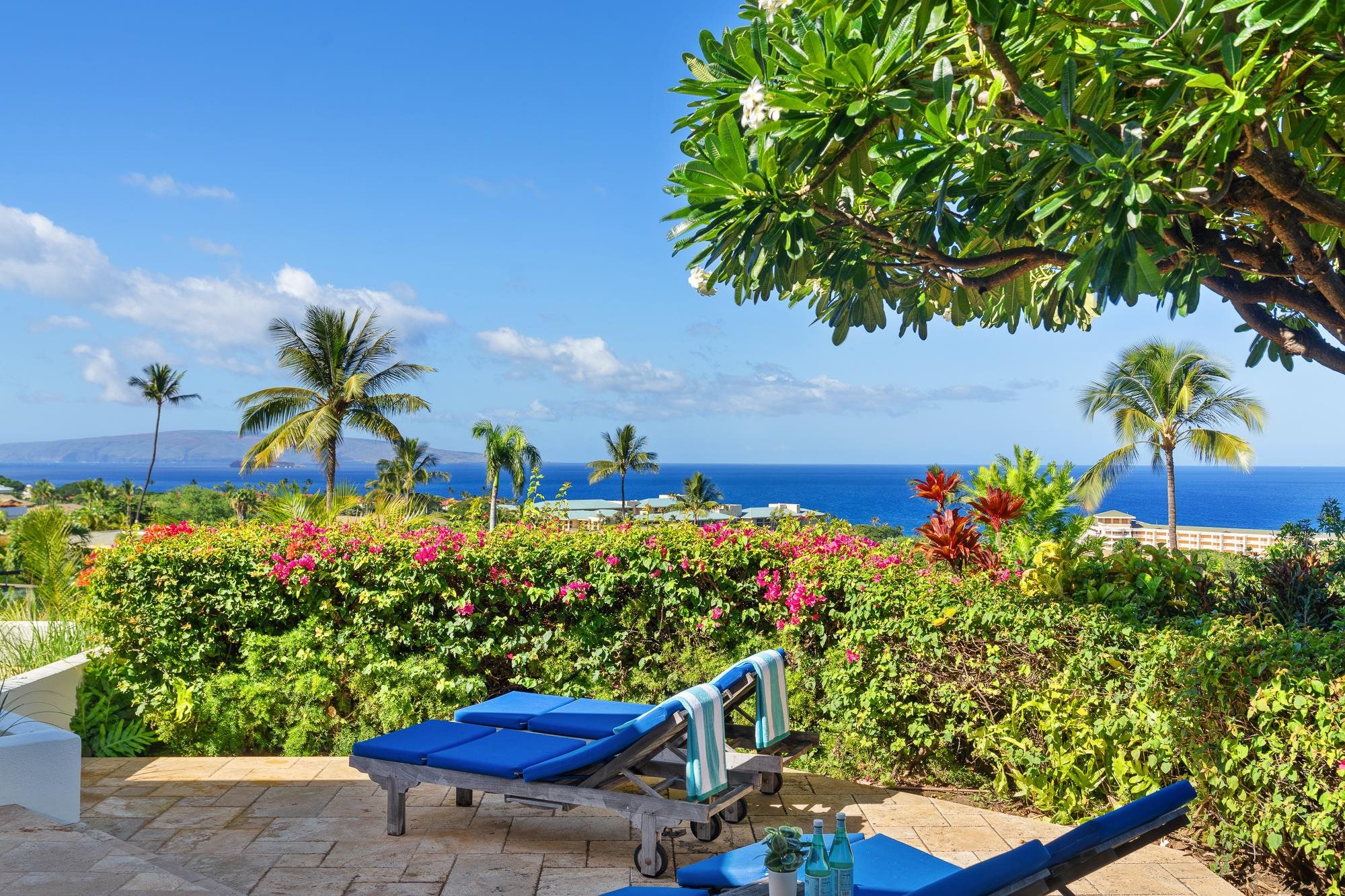 3870  Wailea Ekolu Pl Wailea, Wailea/Makena home - photo 44 of 48
