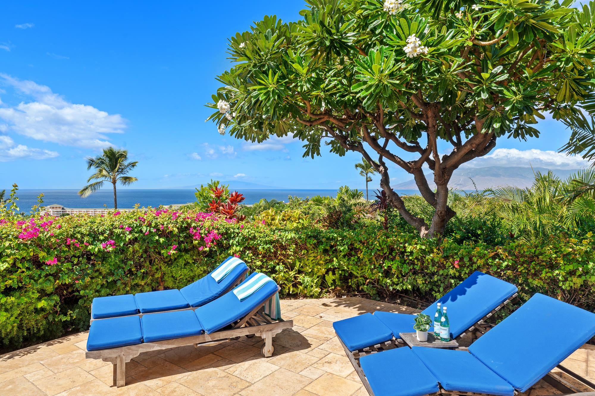 3870  Wailea Ekolu Pl Wailea, Wailea/Makena home - photo 45 of 48