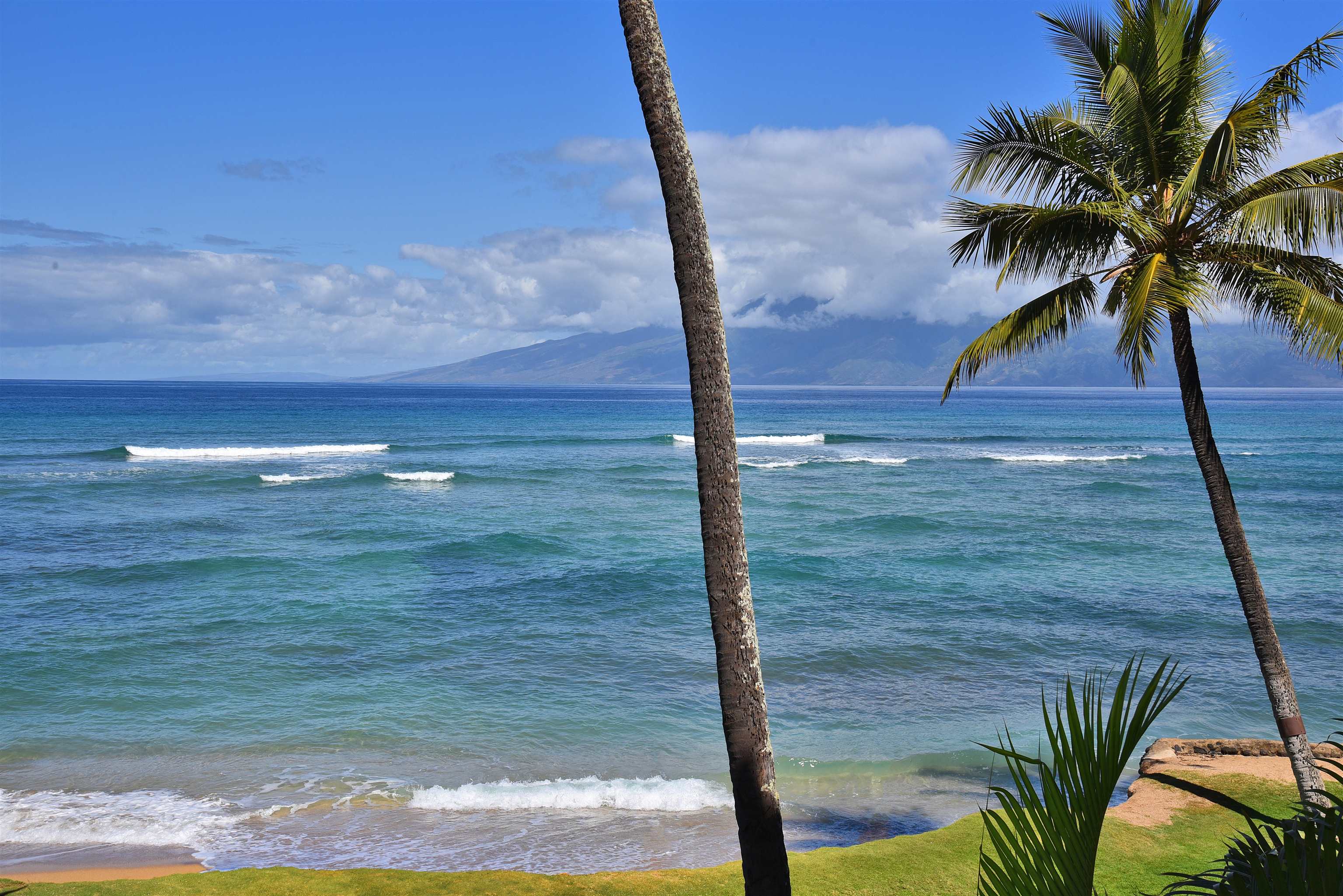 Hale Mahina condo # A-205, Lahaina, Hawaii - photo 28 of 48